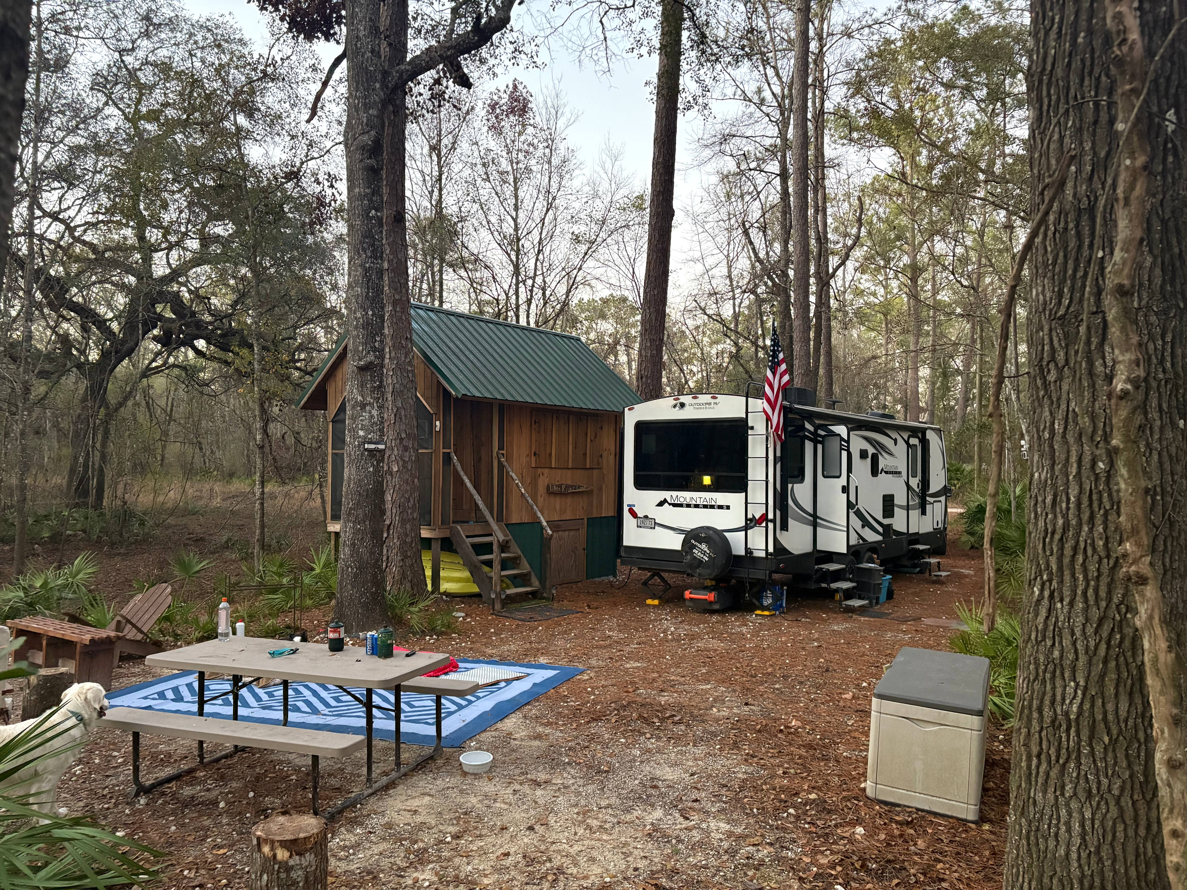 Cabin At Little River Springs