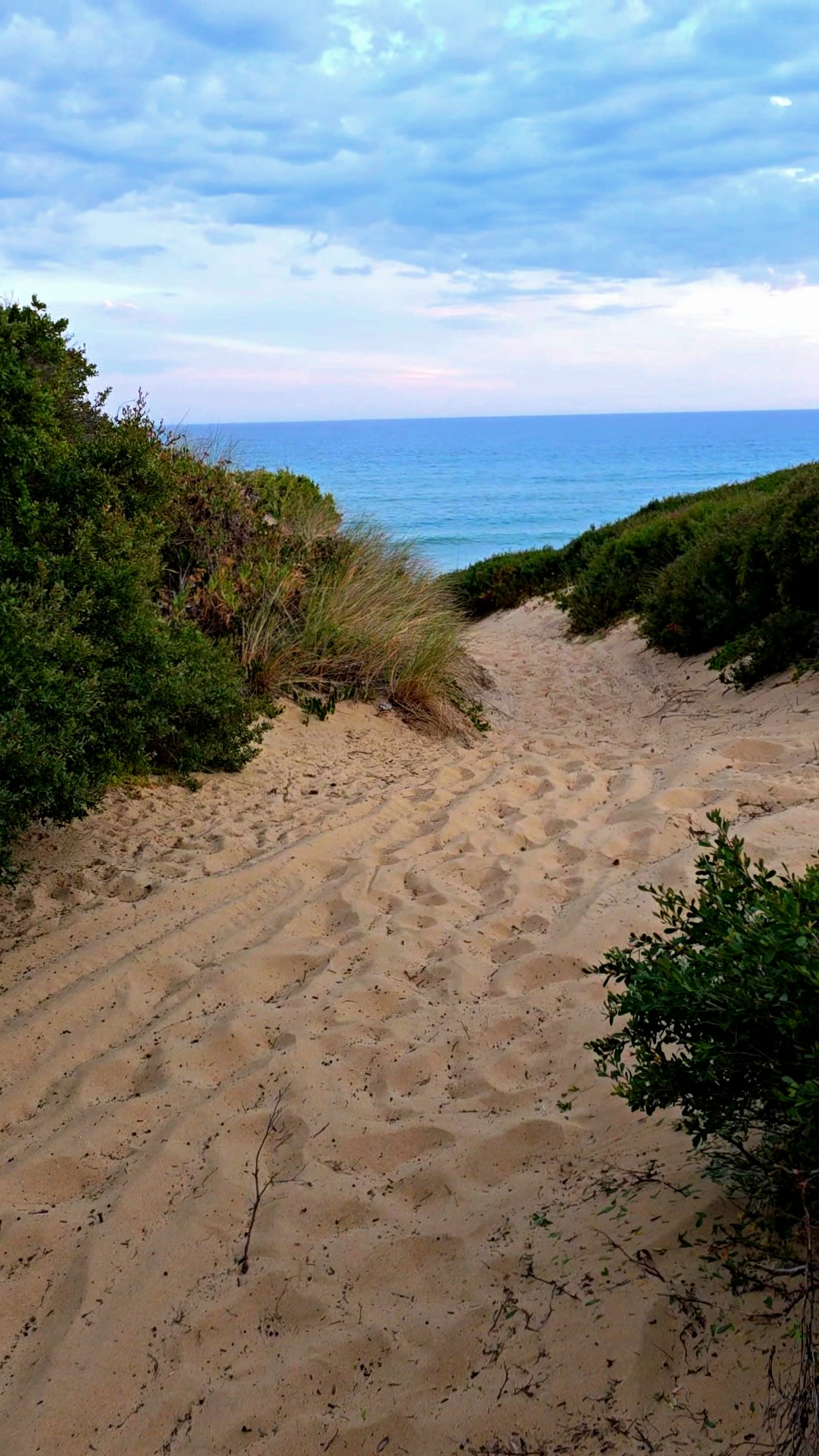 Tranquillity Central