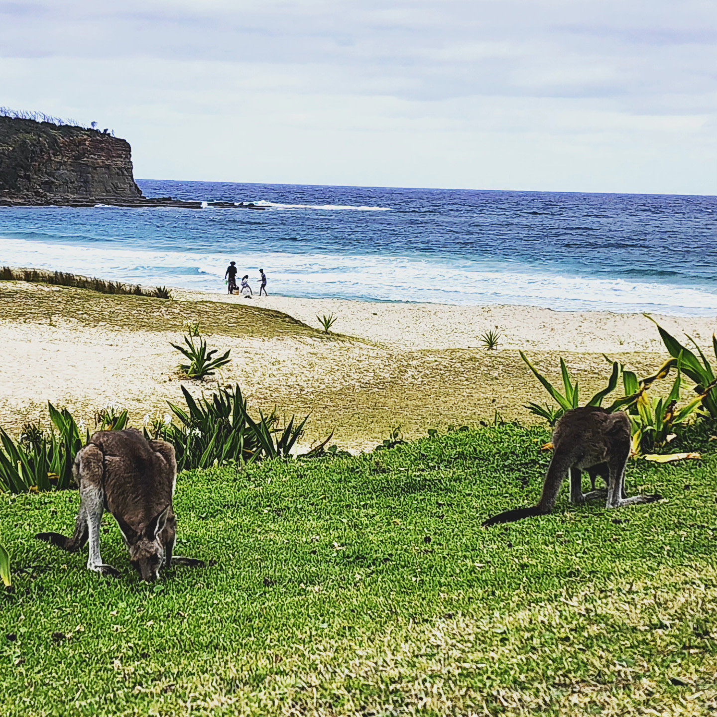 The Hundred Acre Woods