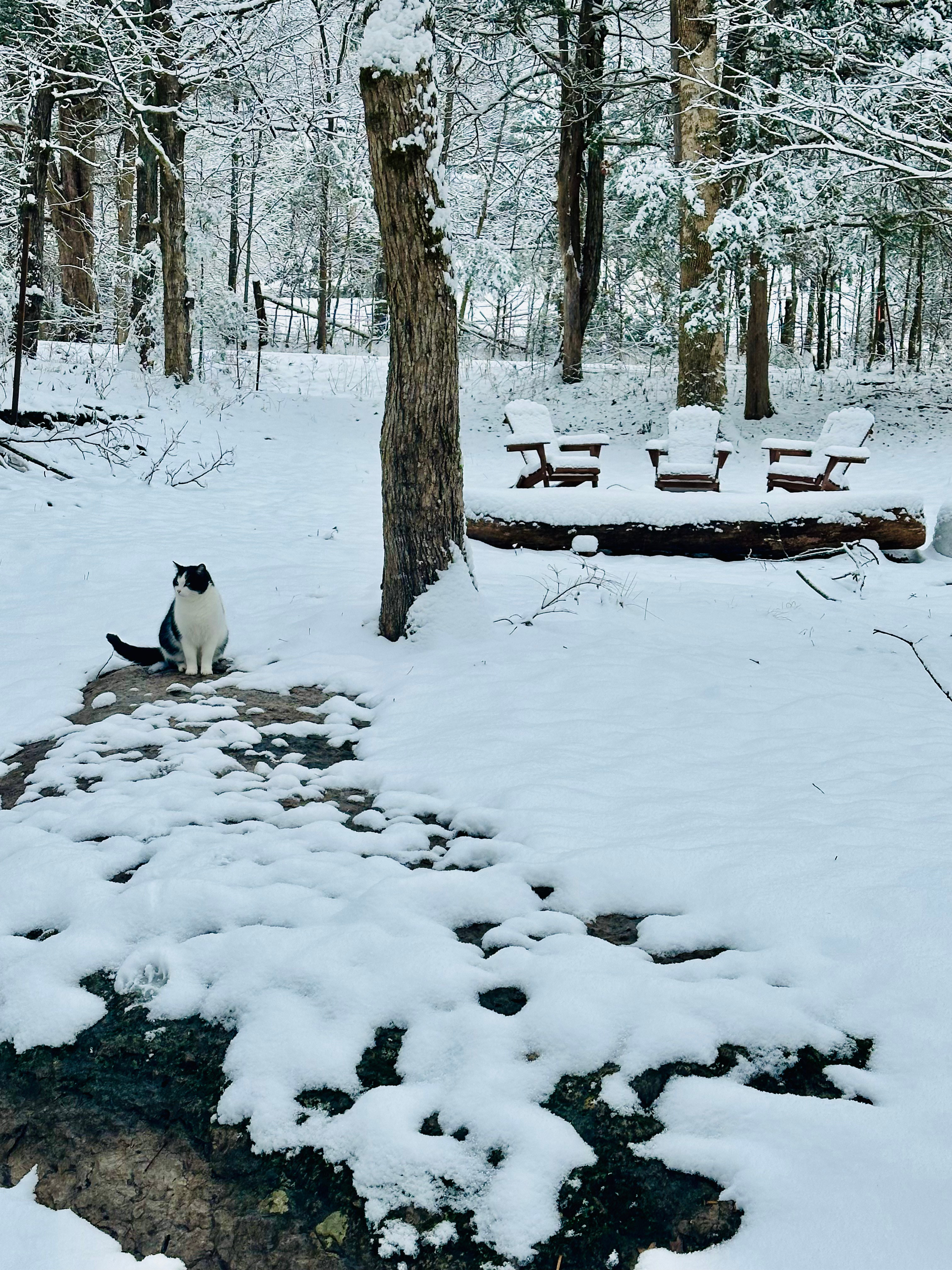 On The Rocks Campsite