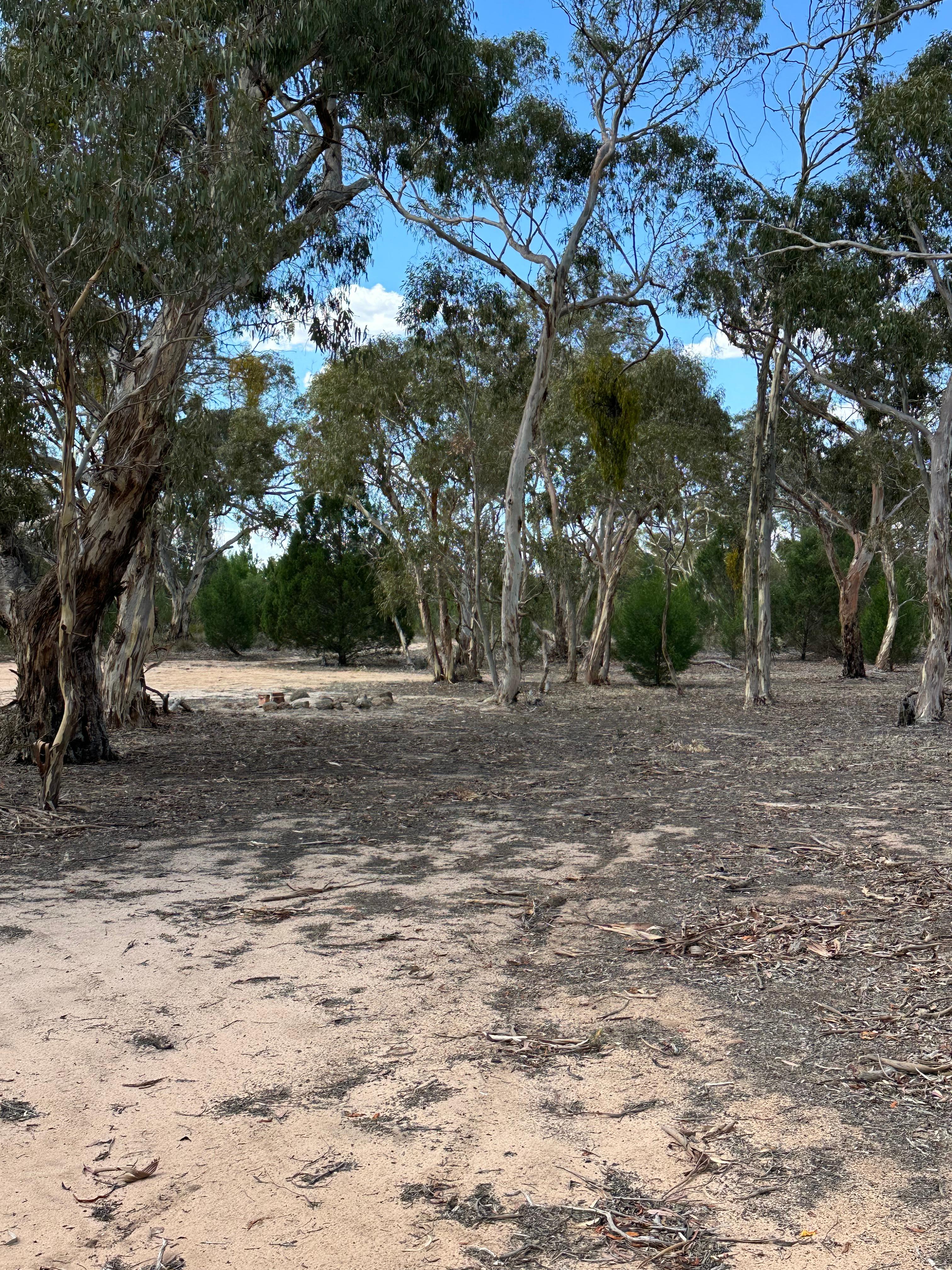 Camp area available