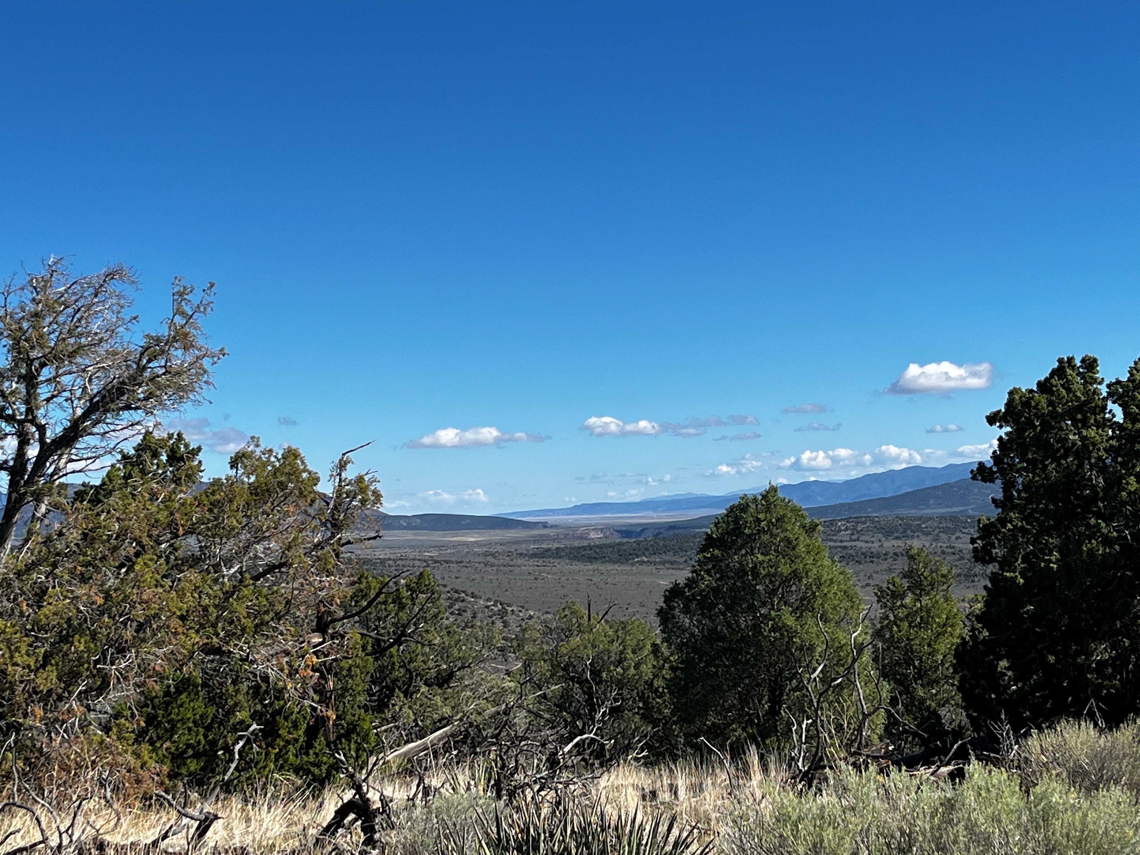 Looking North towards Cerró Chiflo with the cut of the Rio Grande in the background. 