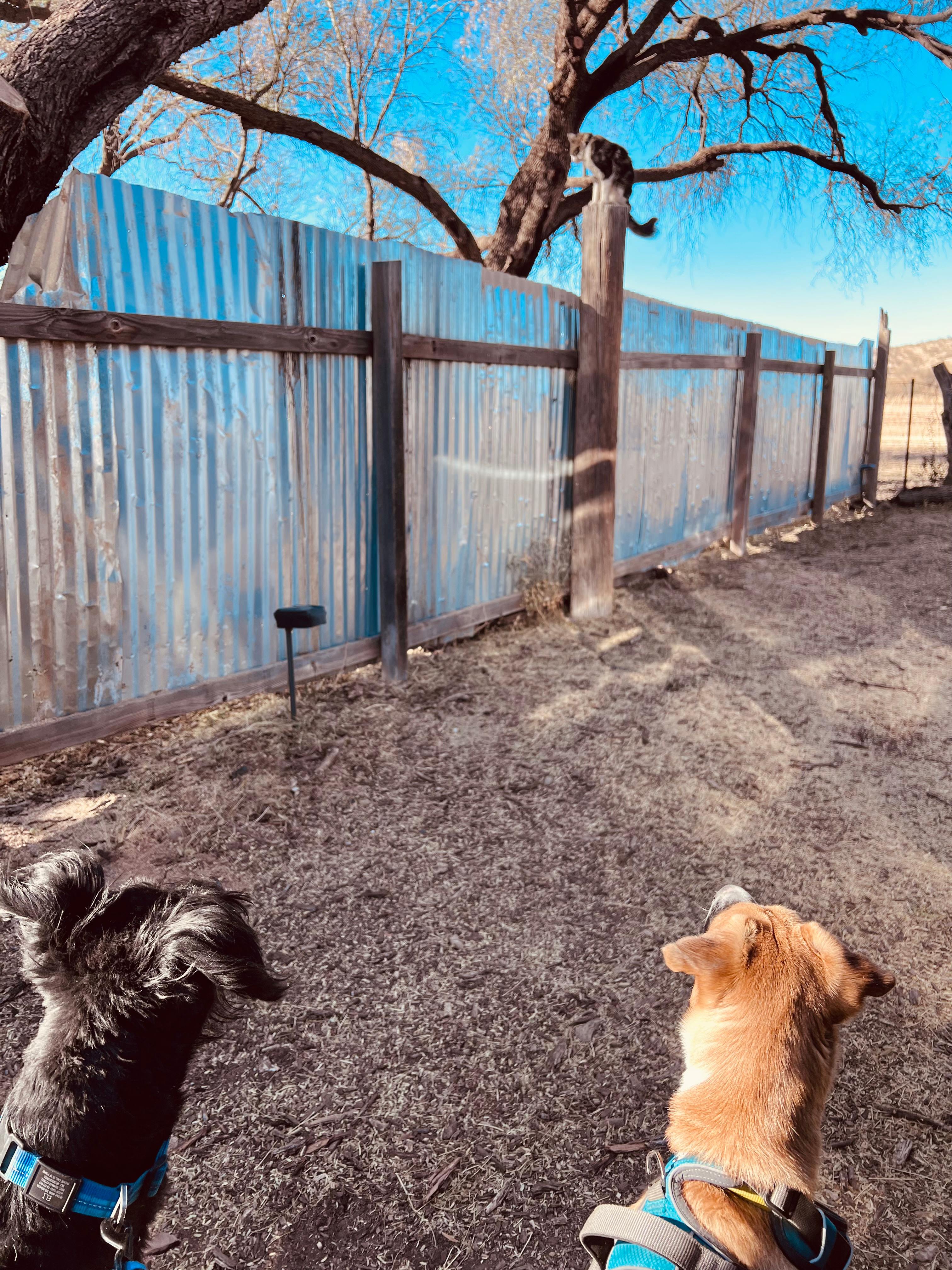 TerraSol in Patagonia, Arizona