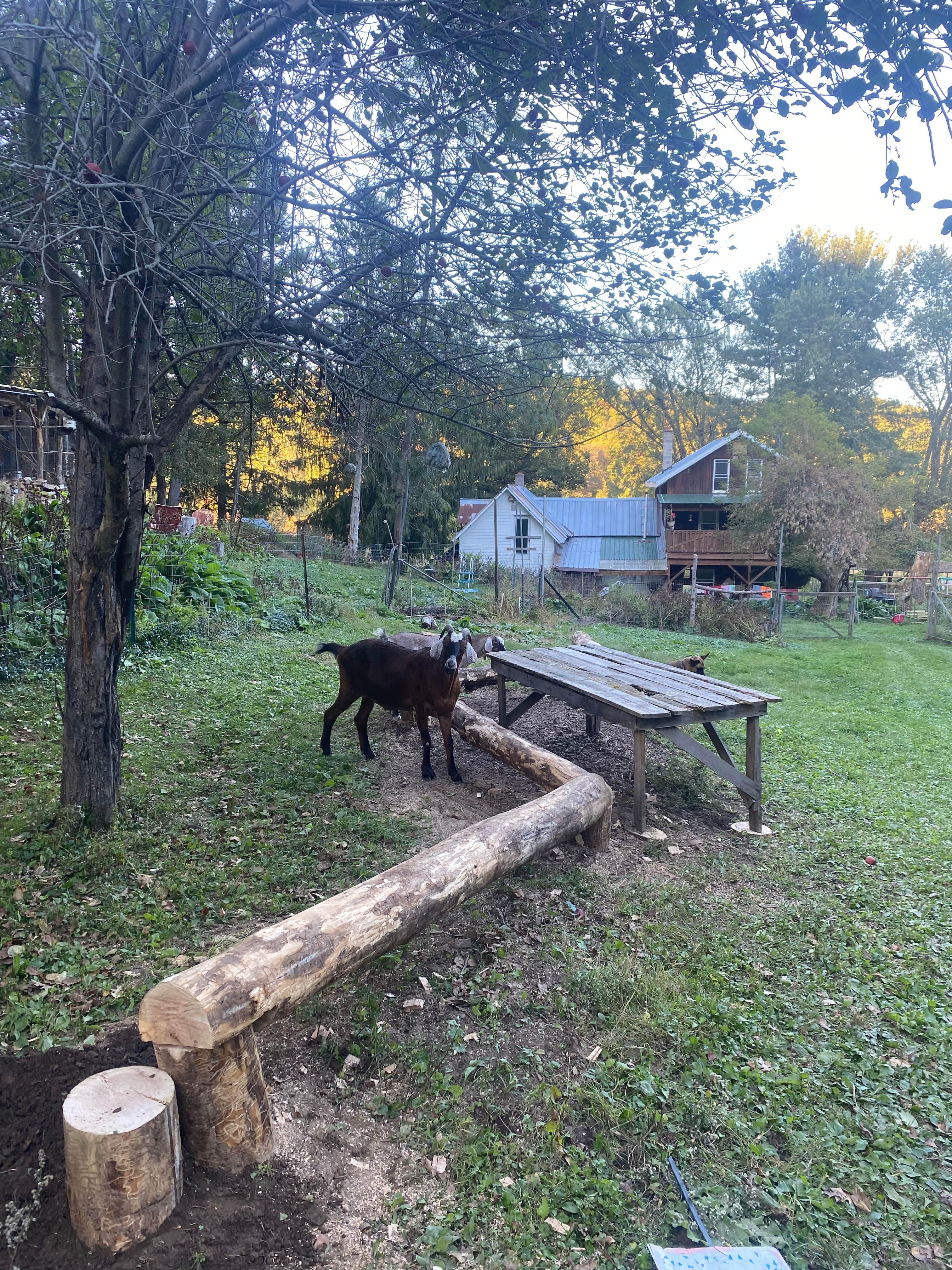 Lost and Found Private Retreat