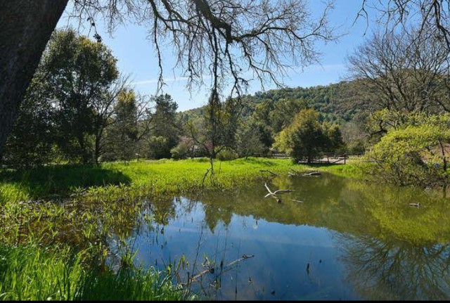 Paradise Valley Cattle Company
