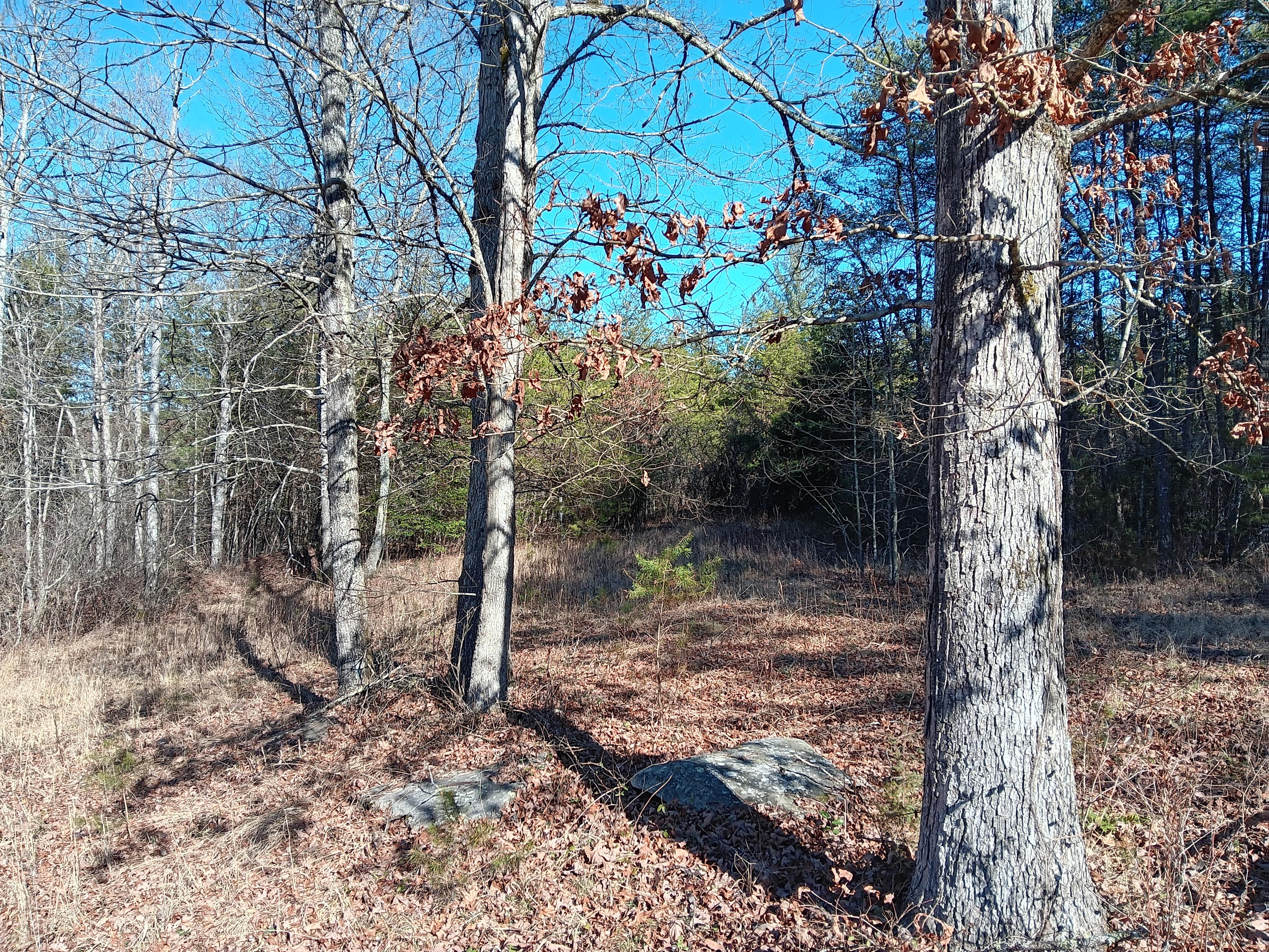 Silver's Landing