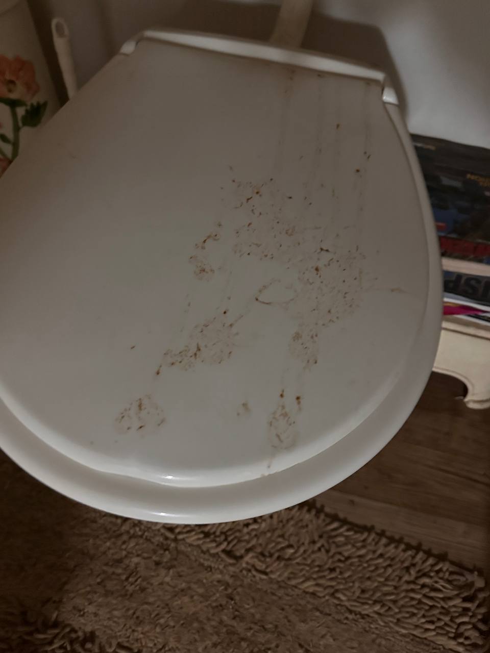 “Clear View” Farmstay and Camping