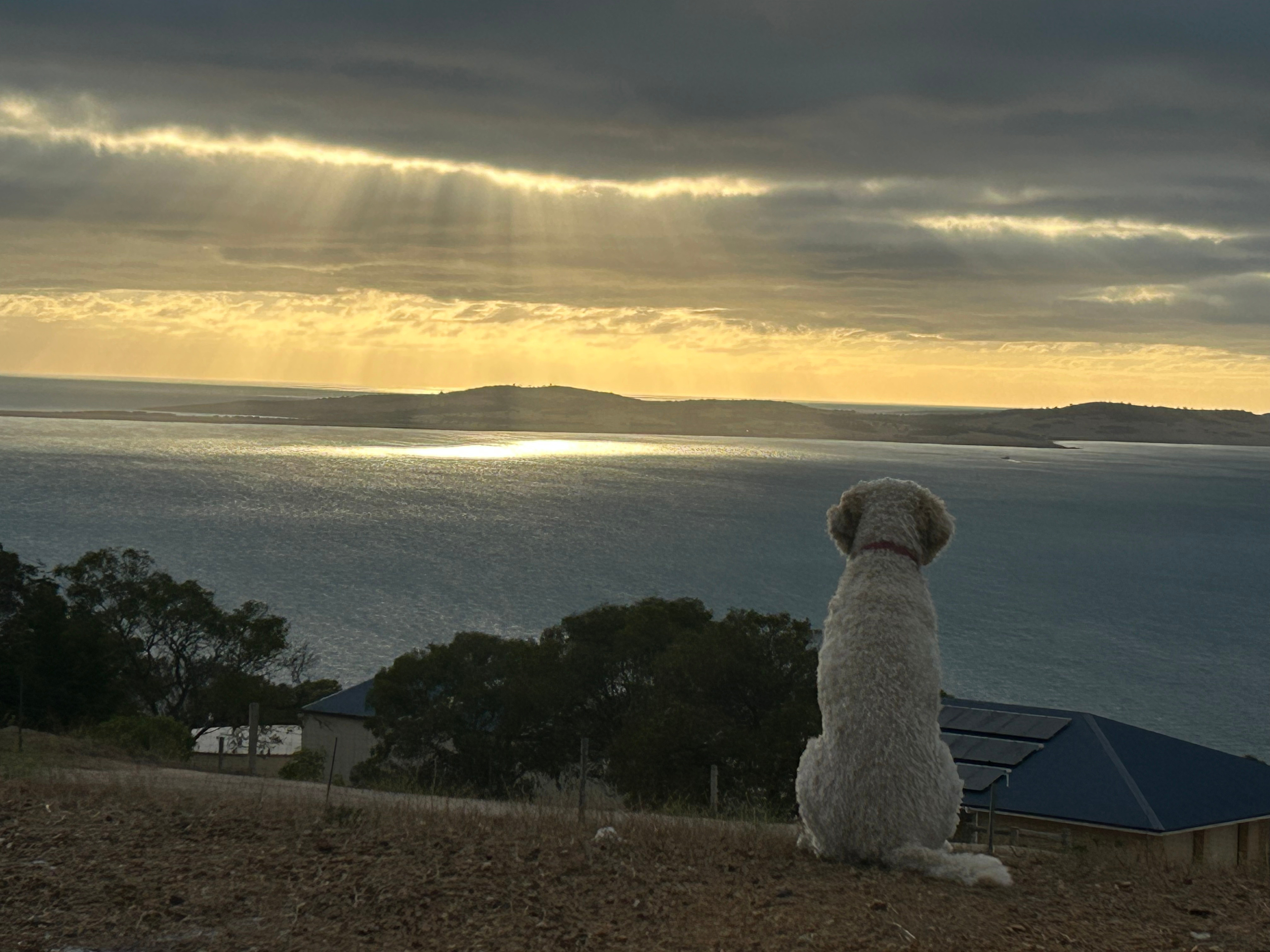 Sunshine at Tiatukia