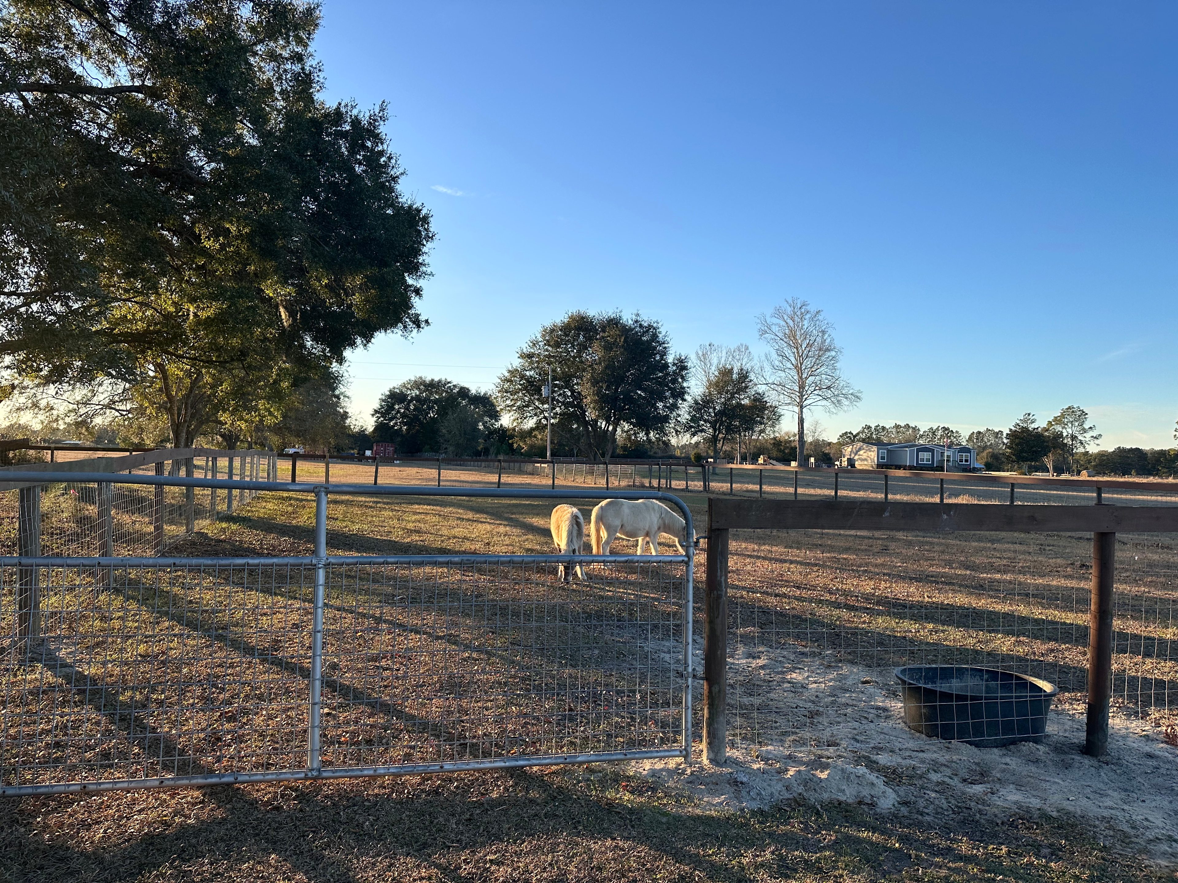 Grassy Springs Farm and Retreat