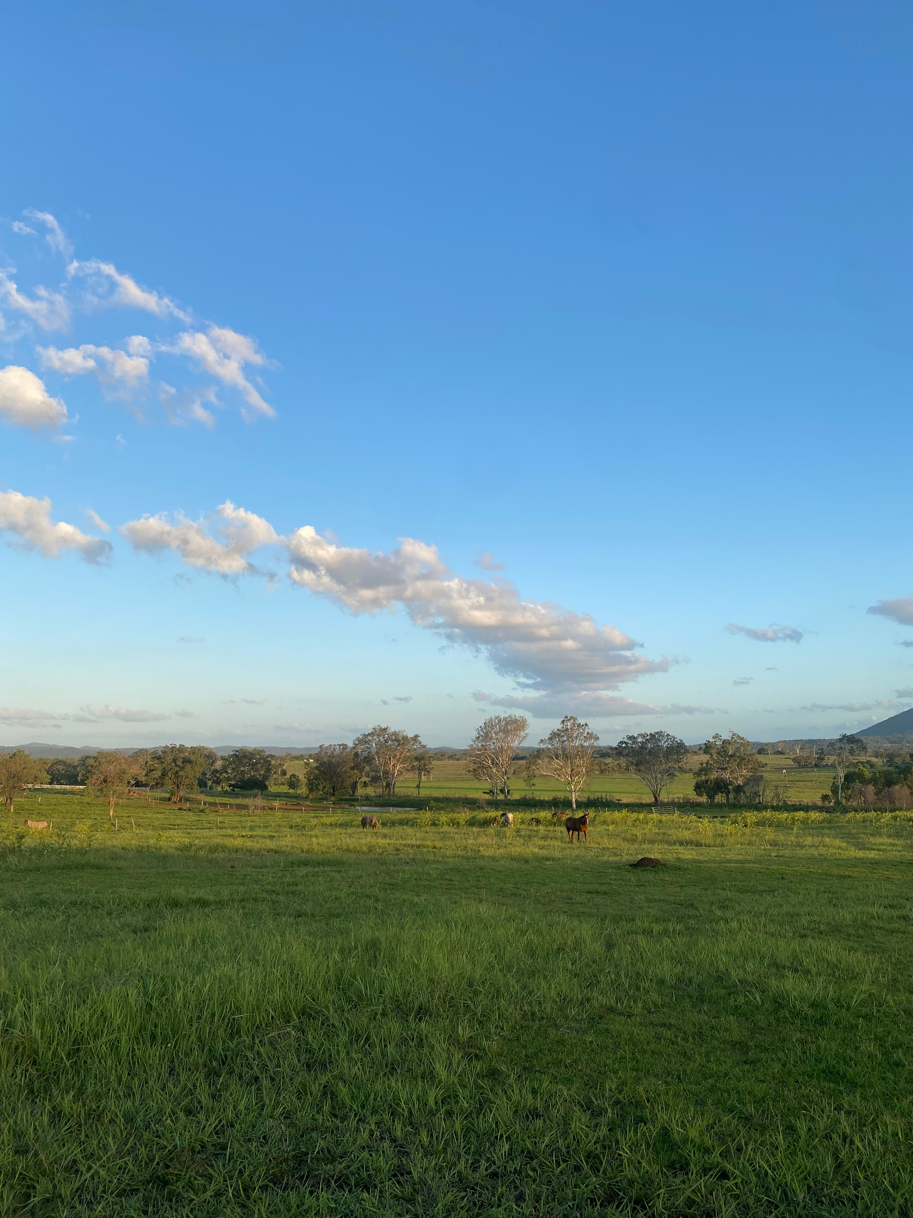 Horse & Hillview