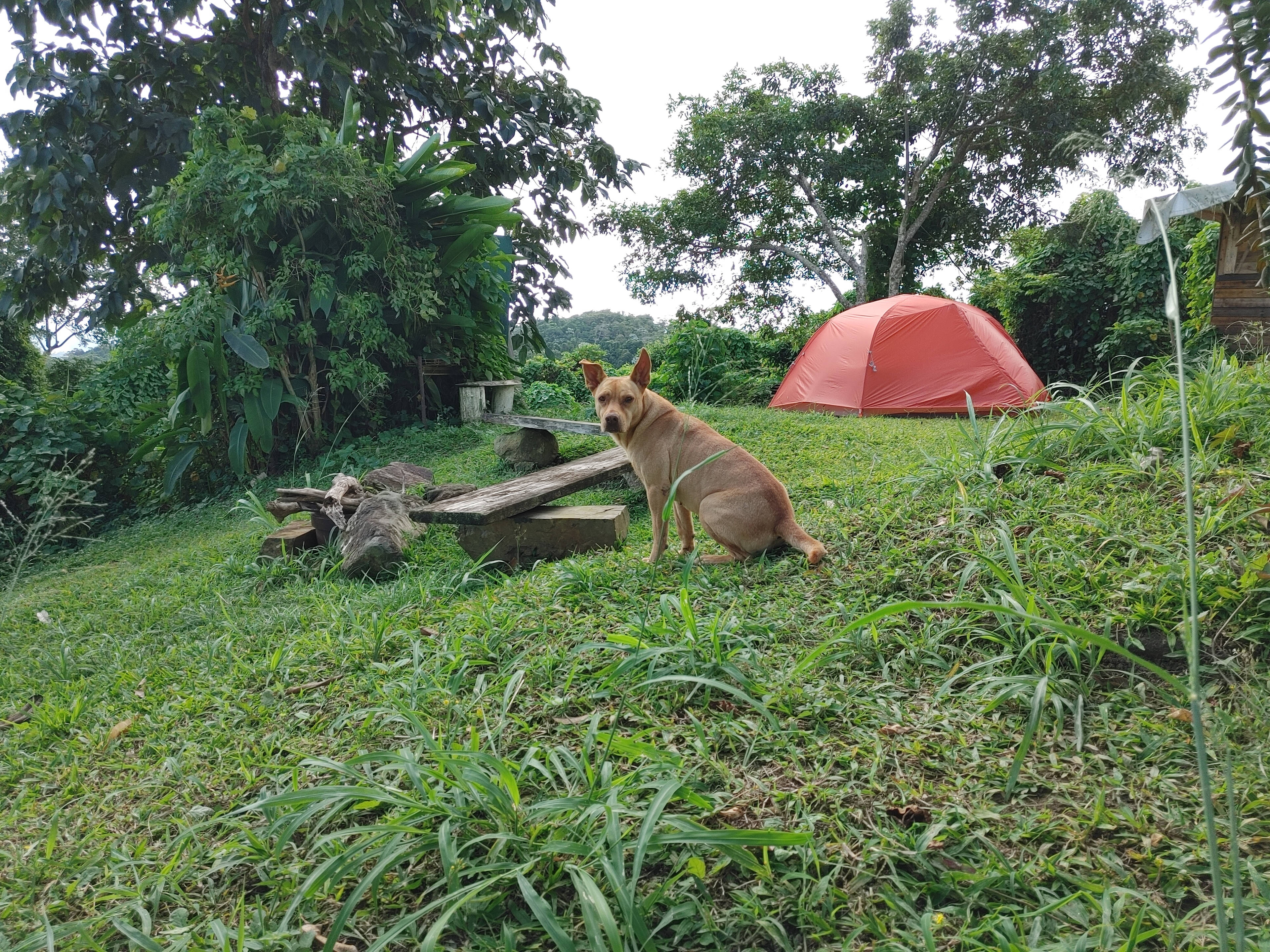 Mi Casa Eco-Camping