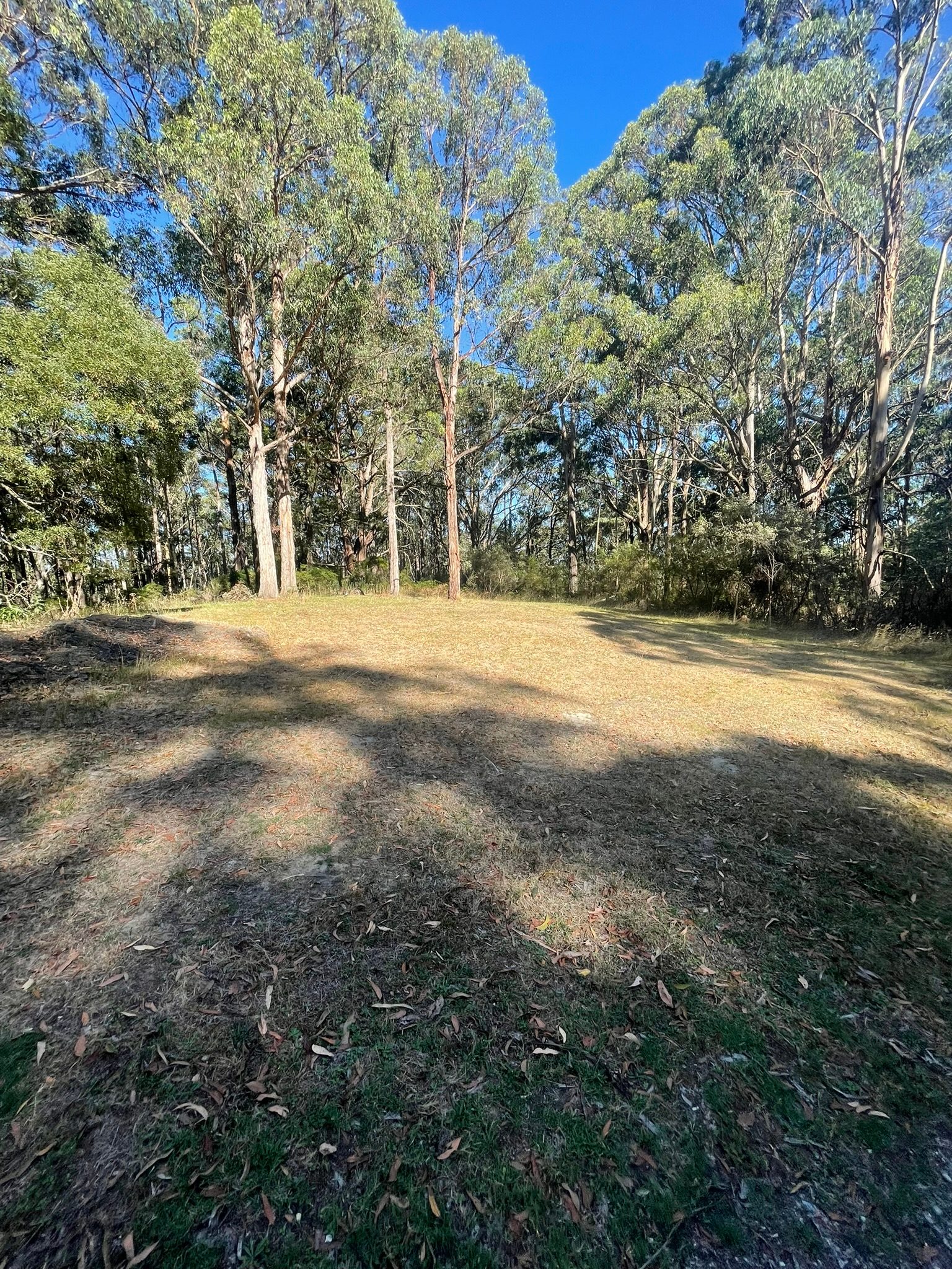 Dobbins Road