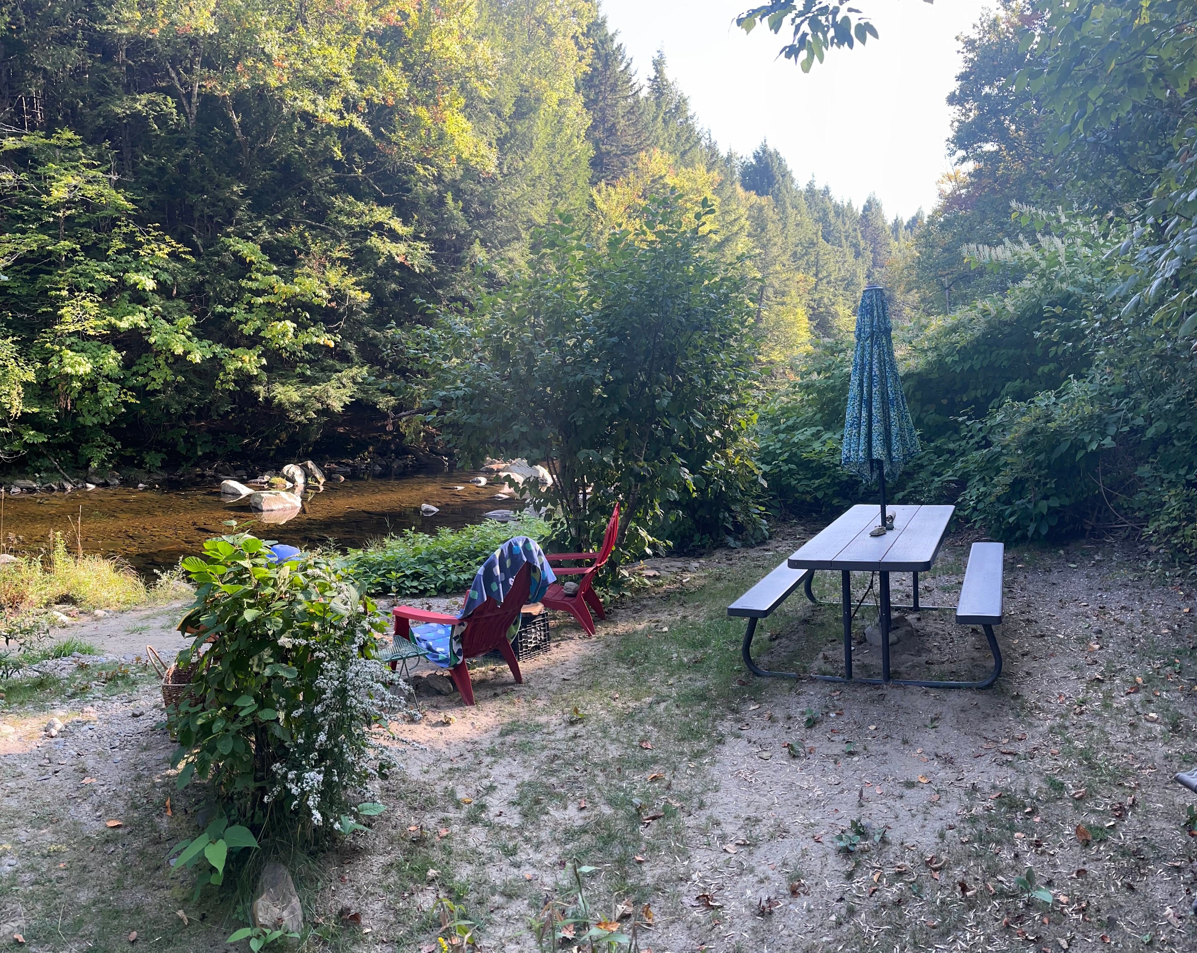 picnic table on the river