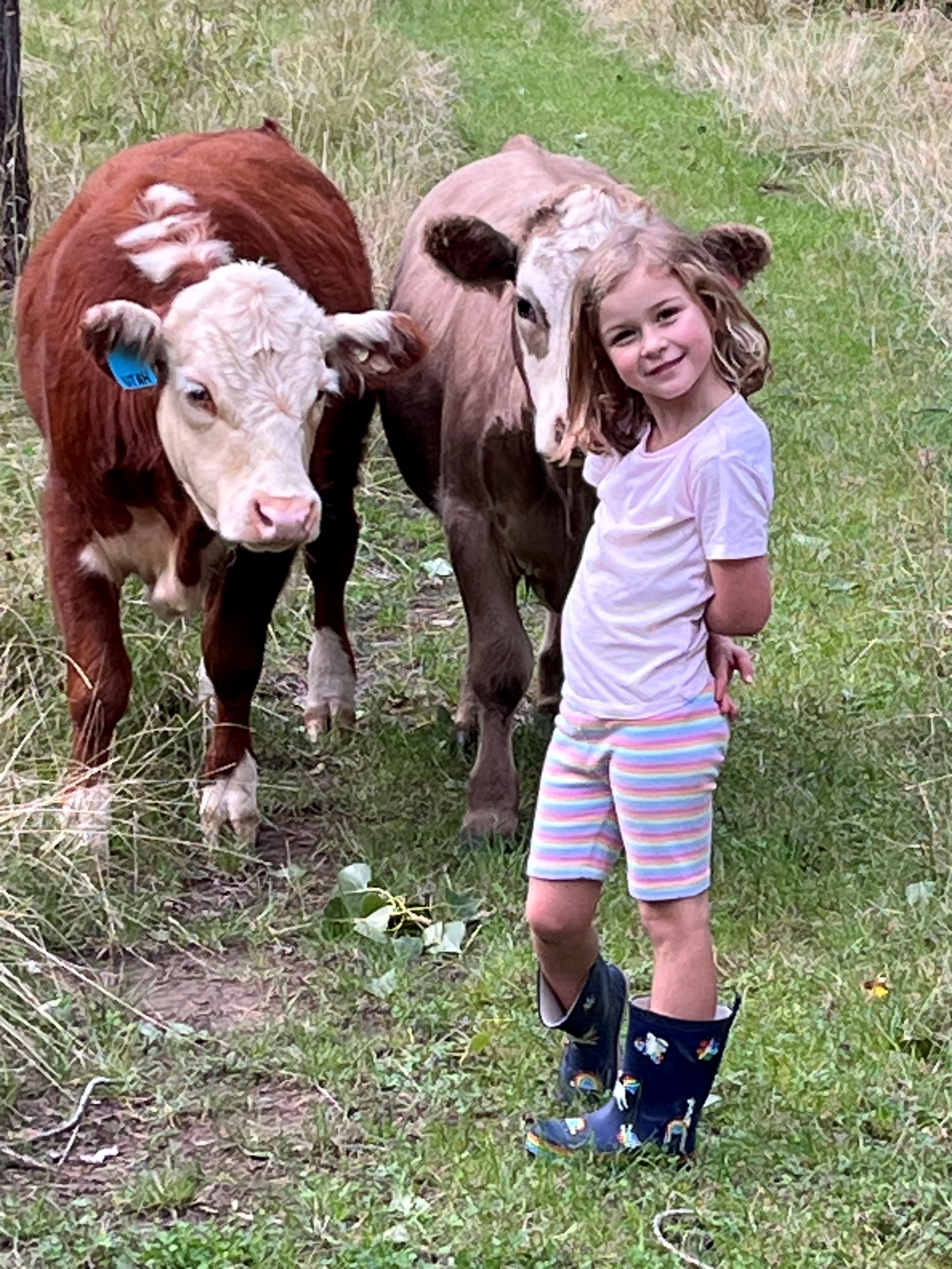 Wings of the Carribee