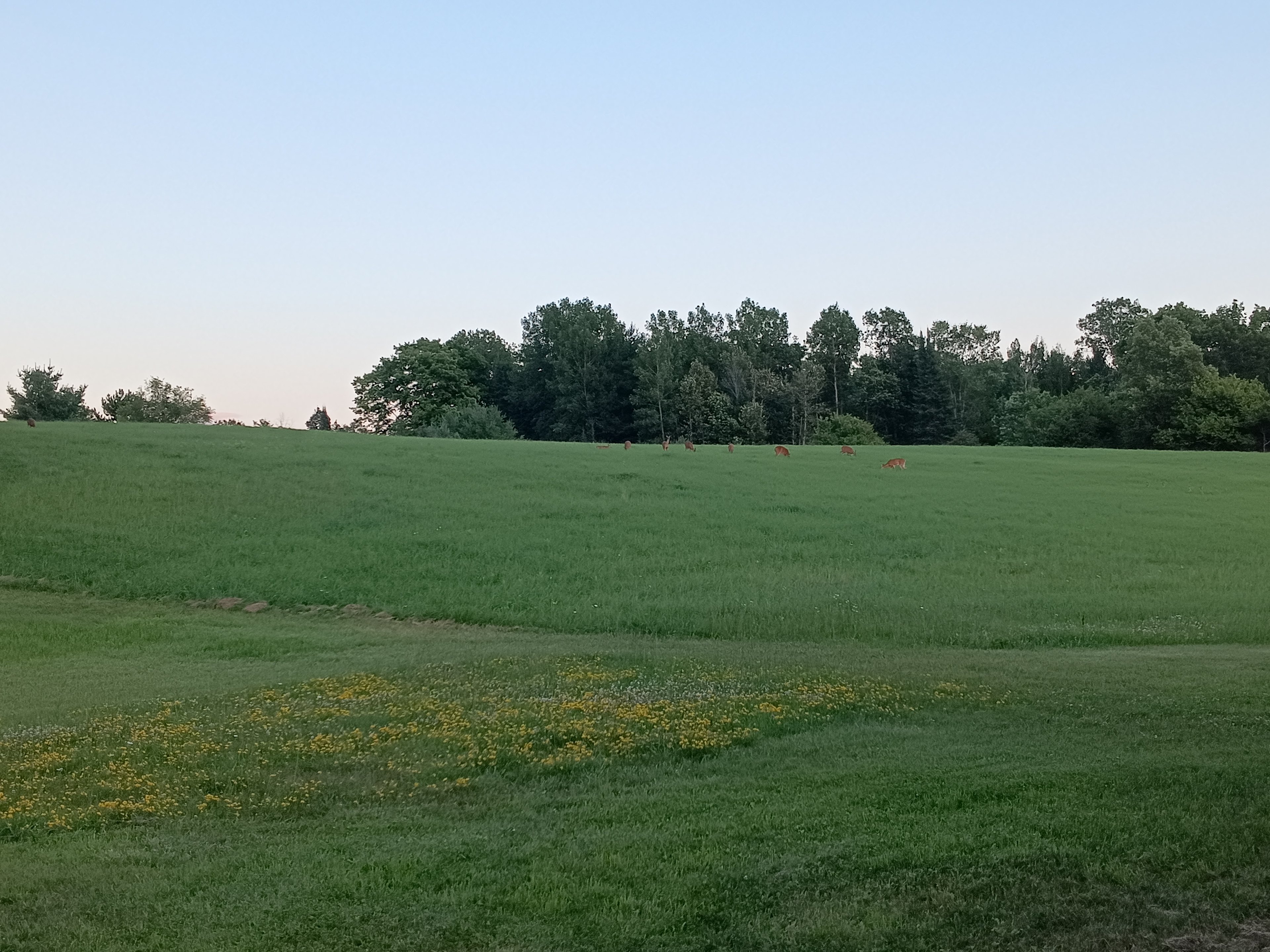 Green Acres