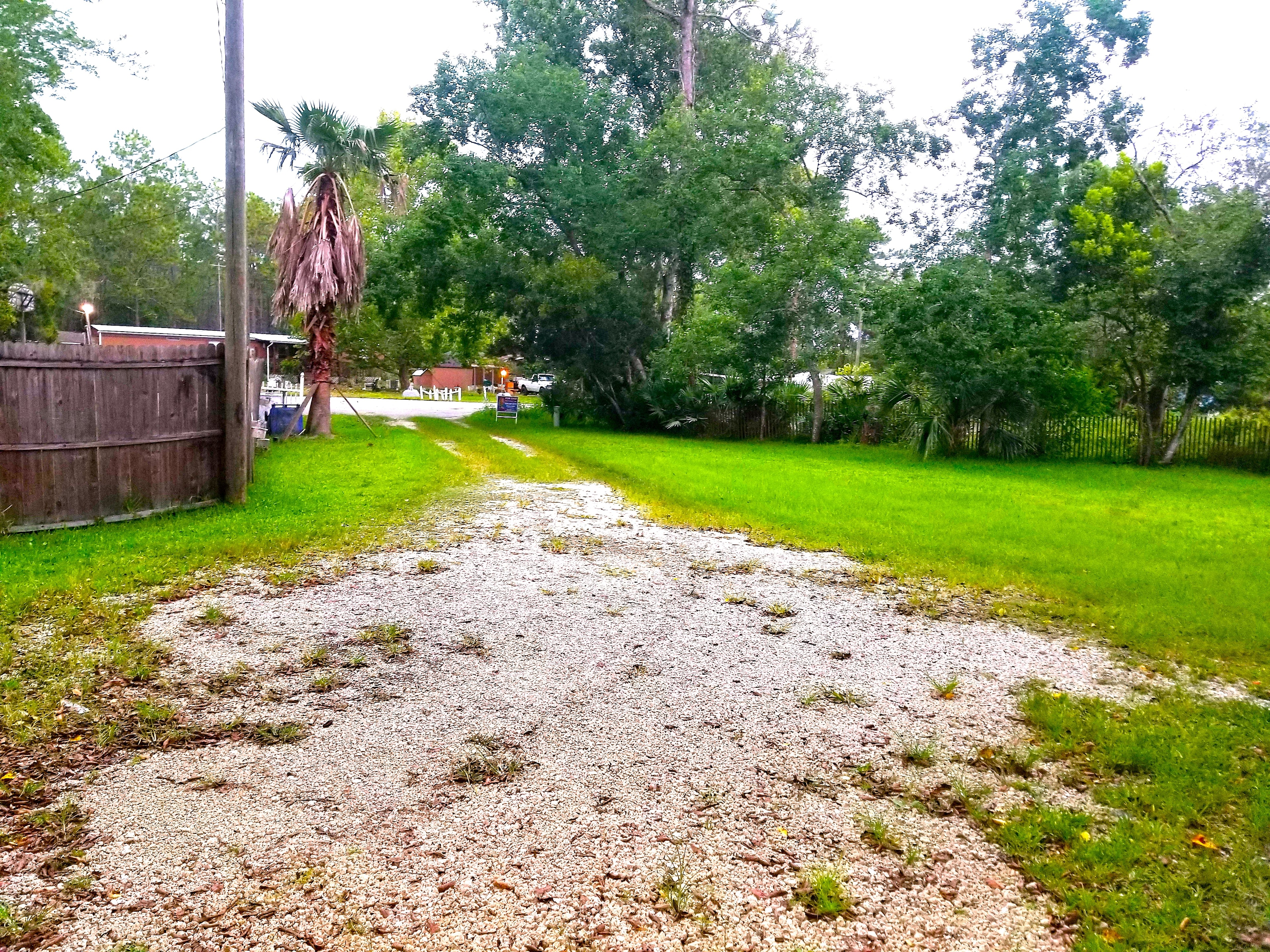 Old Florida Wooded Site Near Town