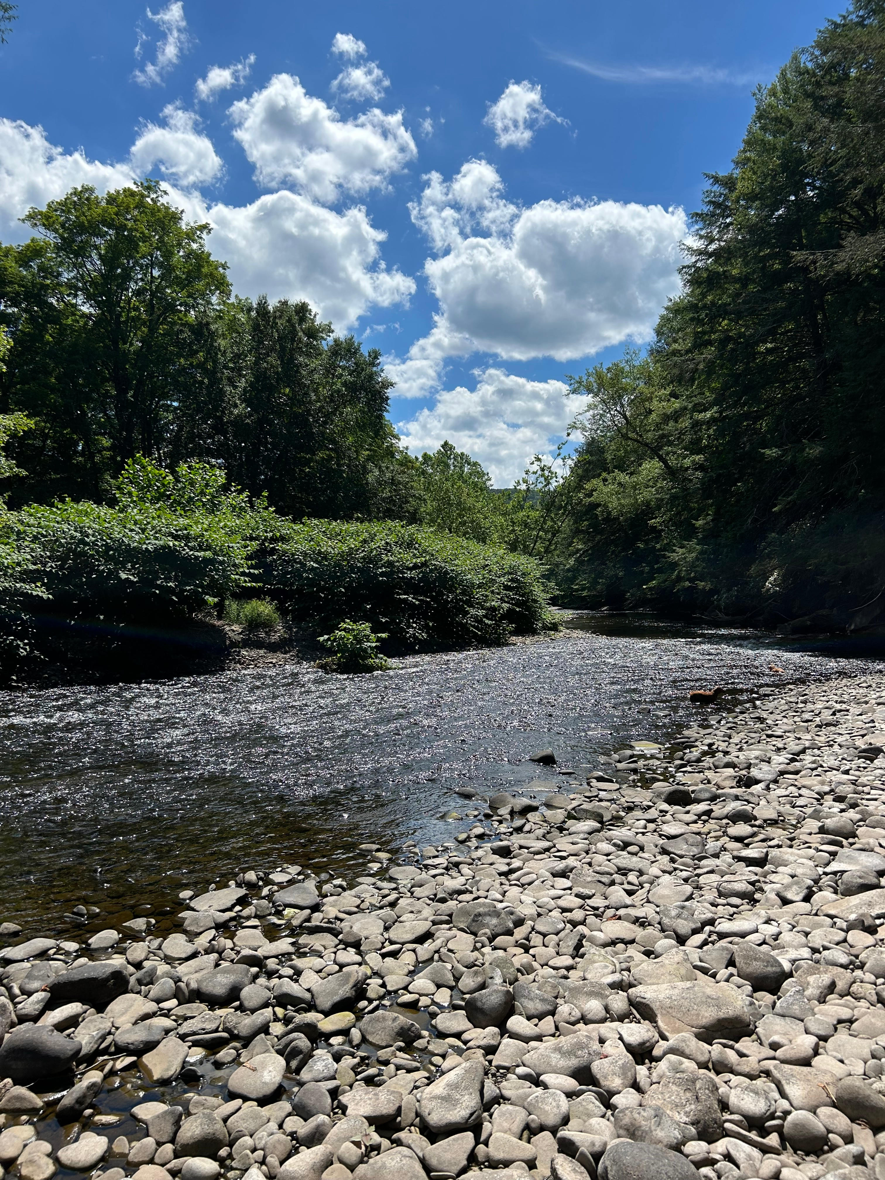 Fisherman’s Bend