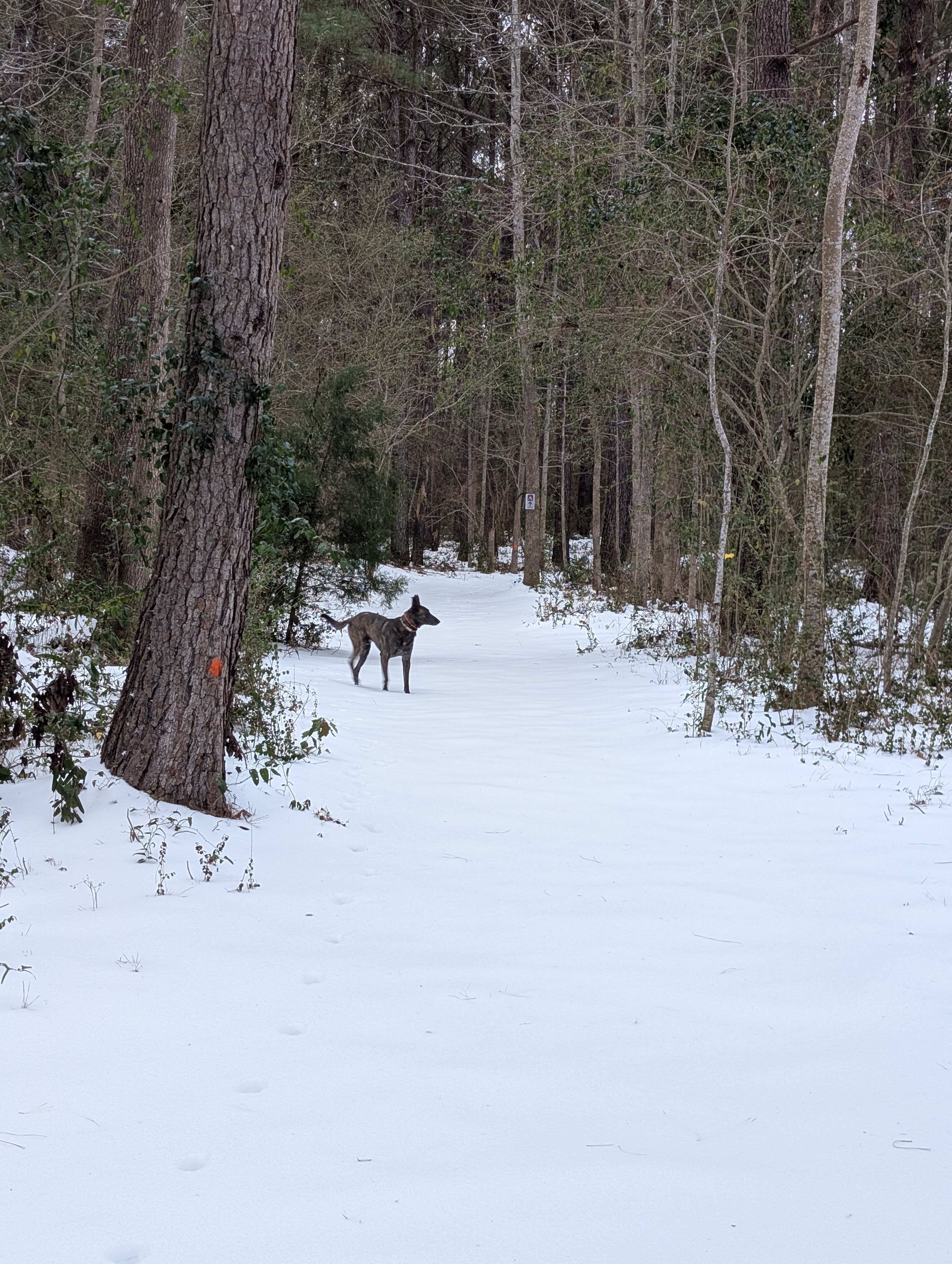 The Mill Creek Spread