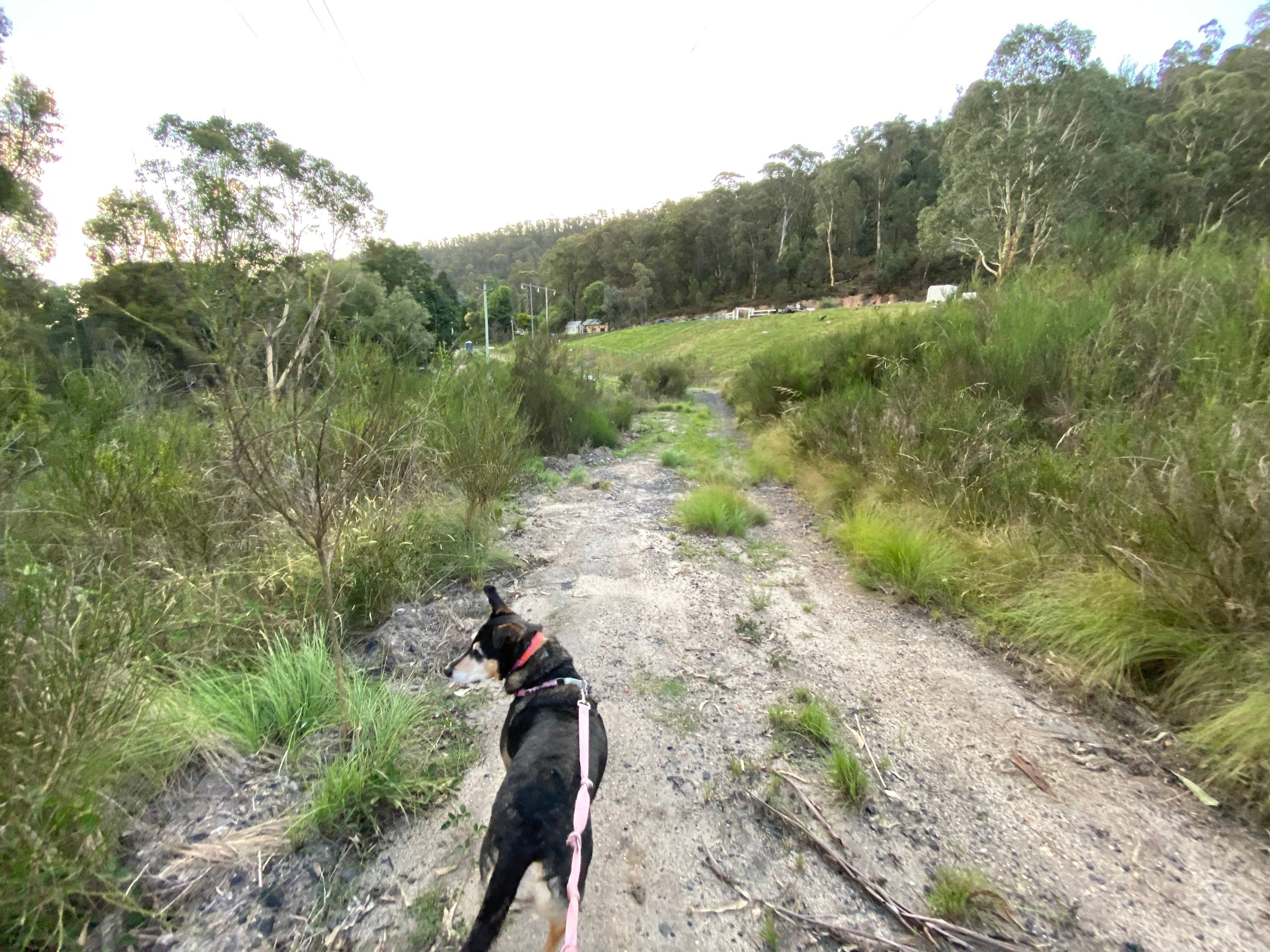 Little Creek Retreat