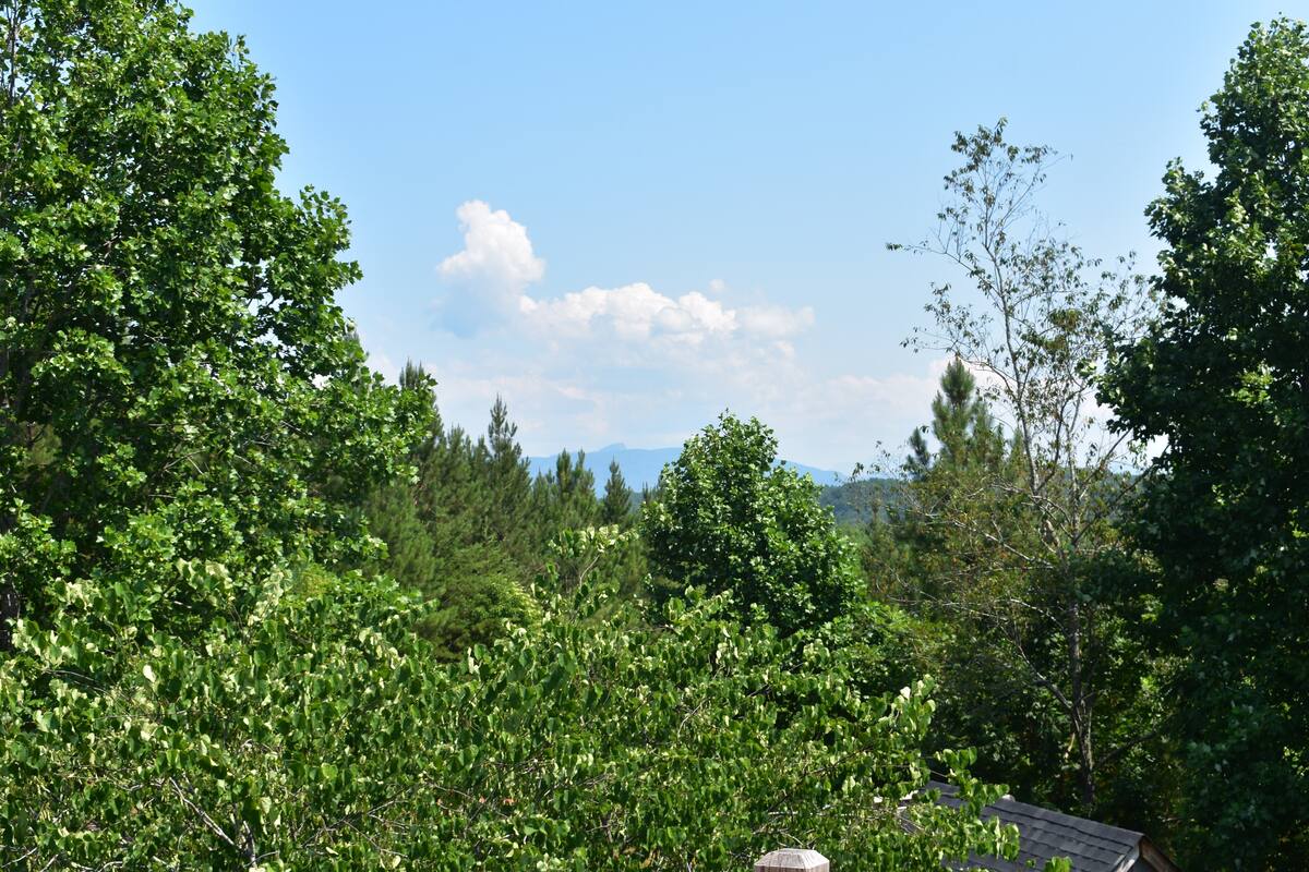 Quaint and Cozy Country Home