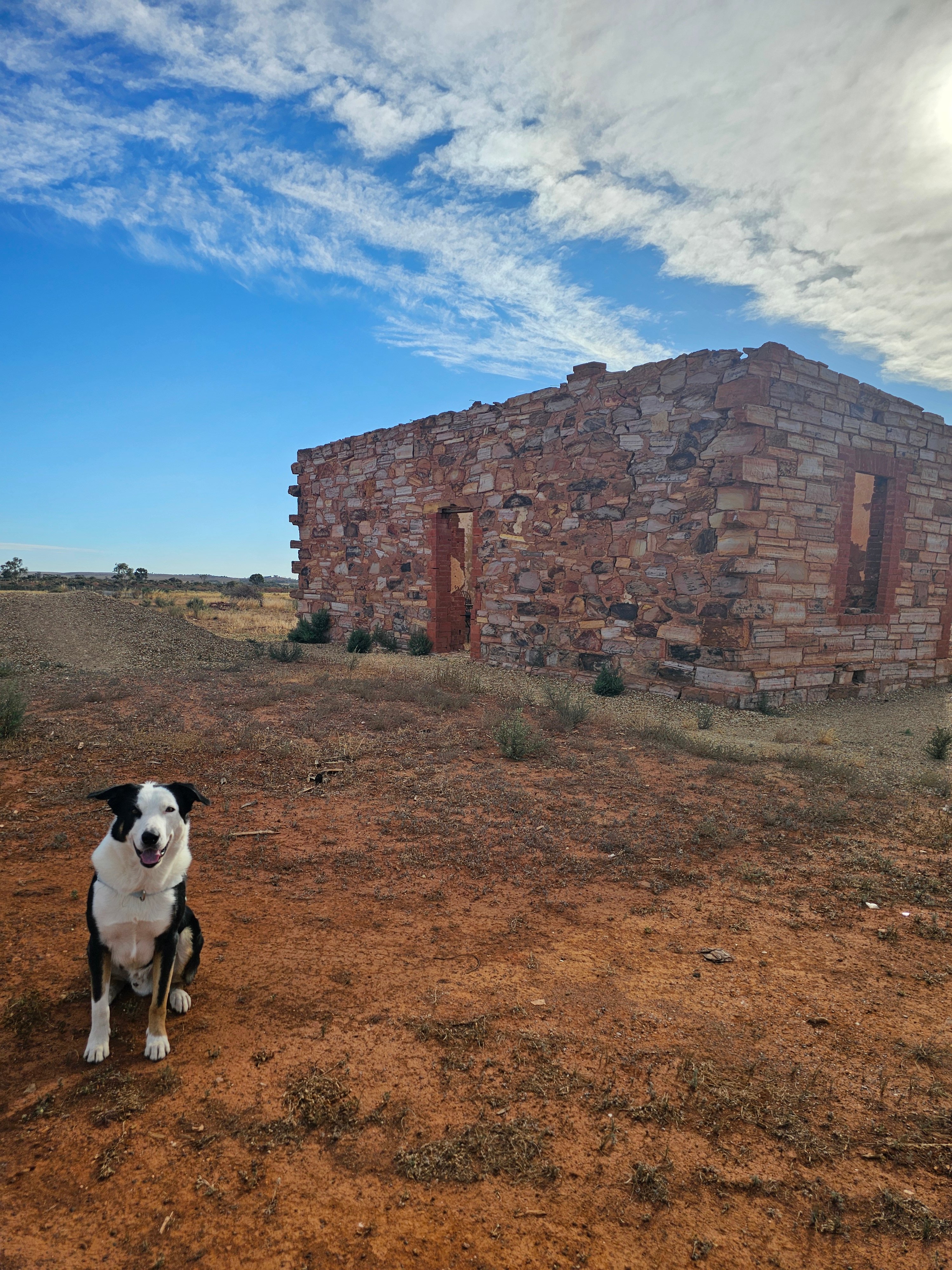 Maverick's Rest - Alpaca Farm Stay