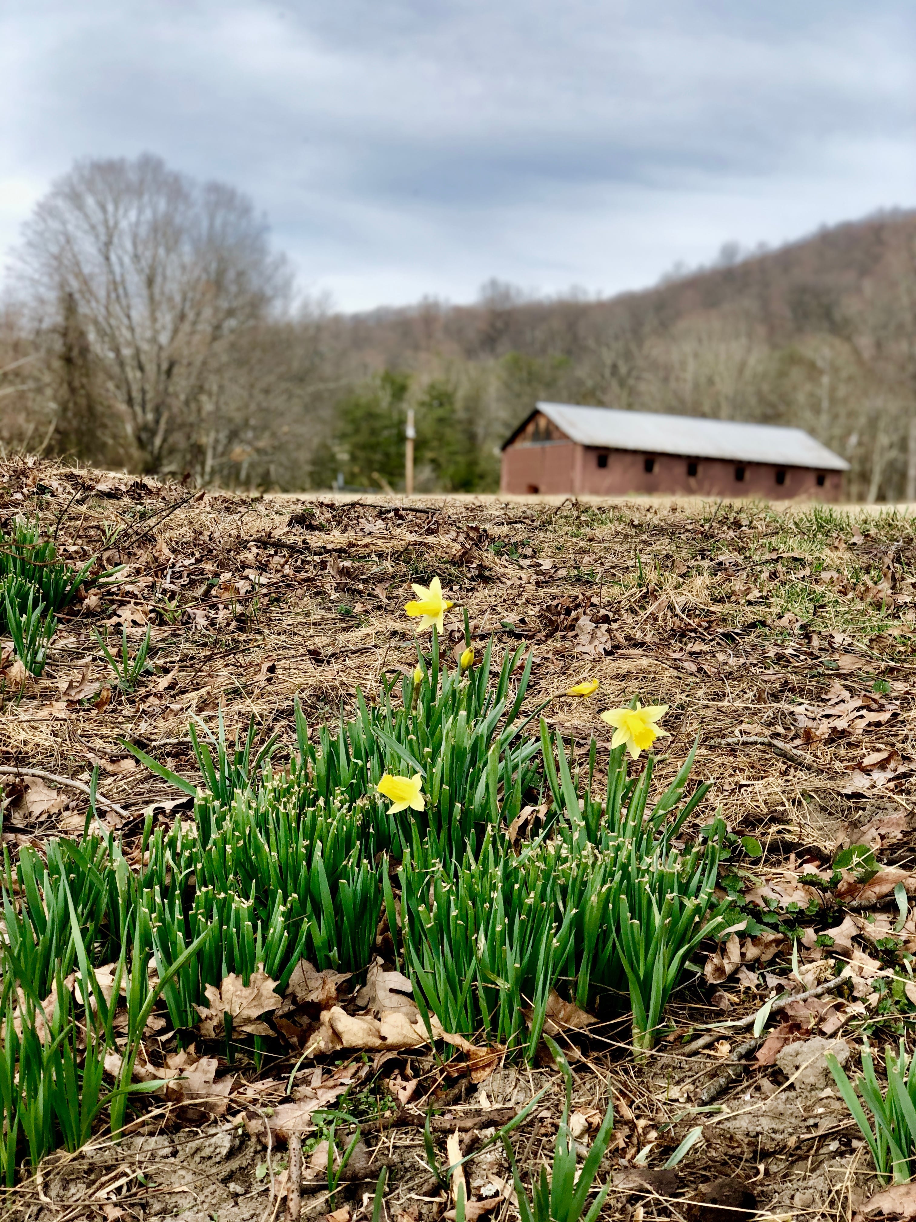 Lost River Retreat Center