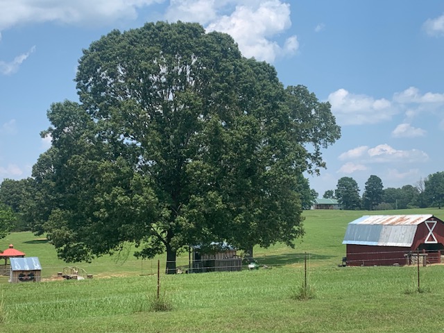 The Little Red Barn RV Sites