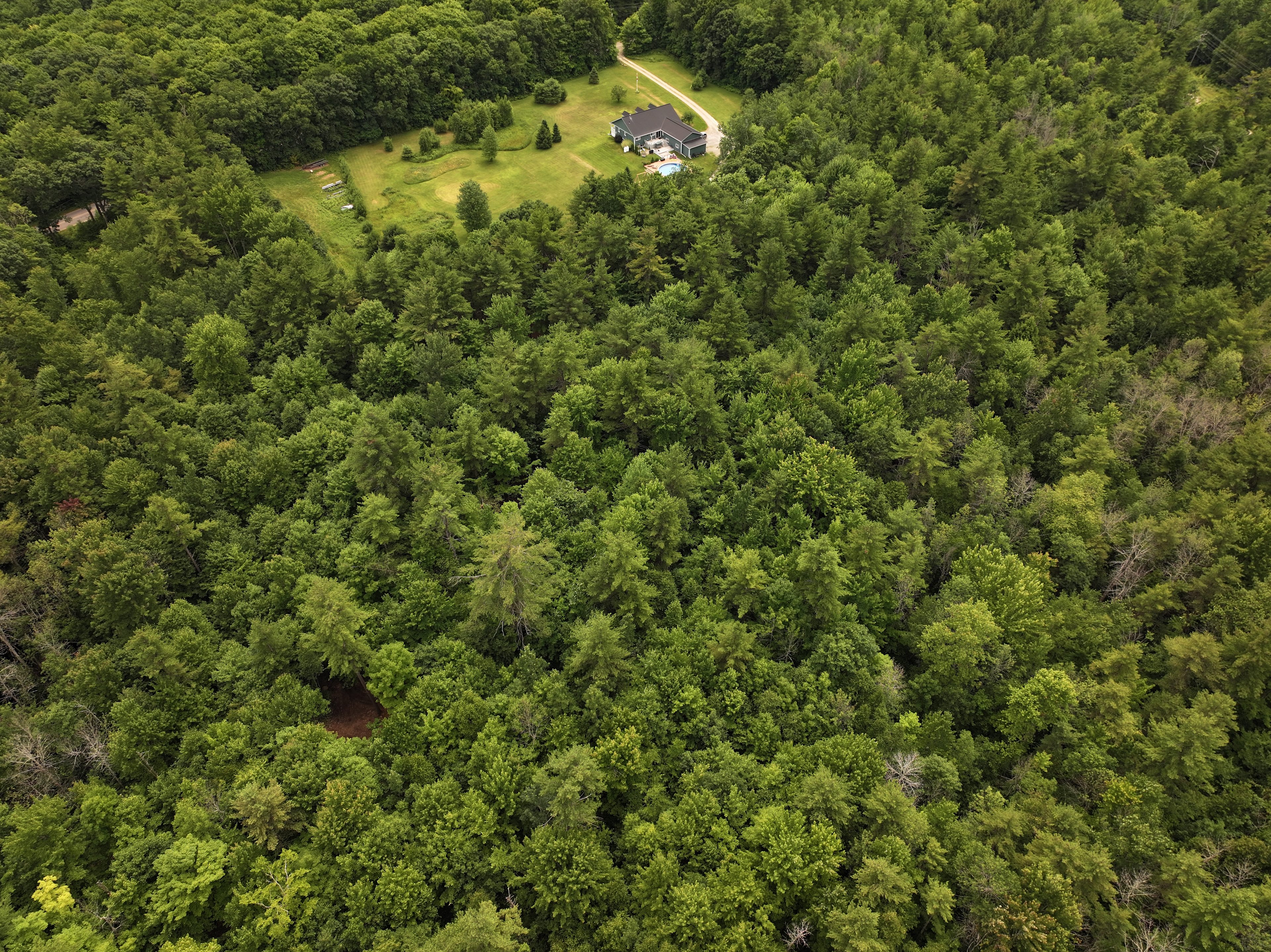 Serene Escape at Strange Wood Park