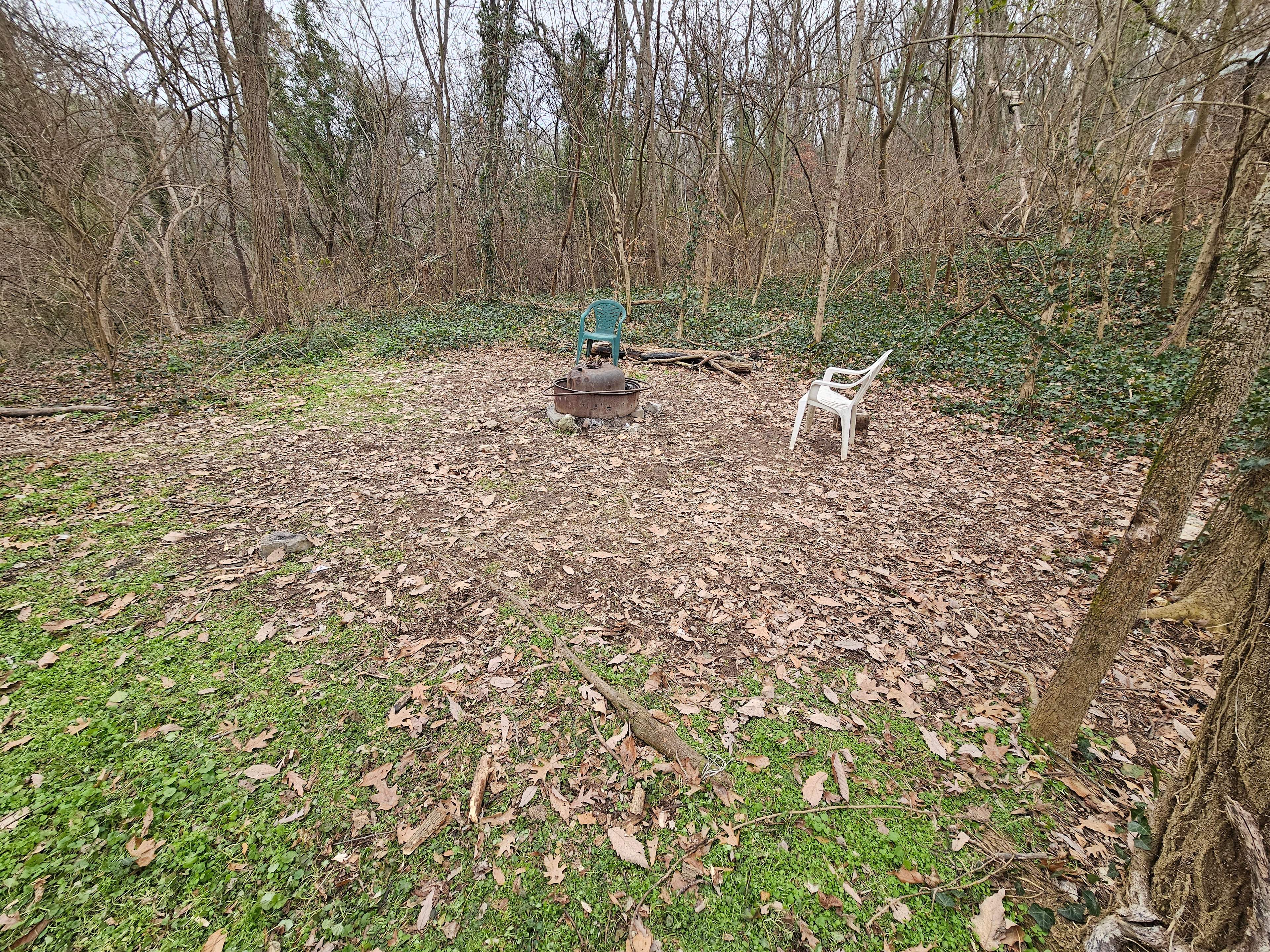 Forest Pocket near Chattanooga