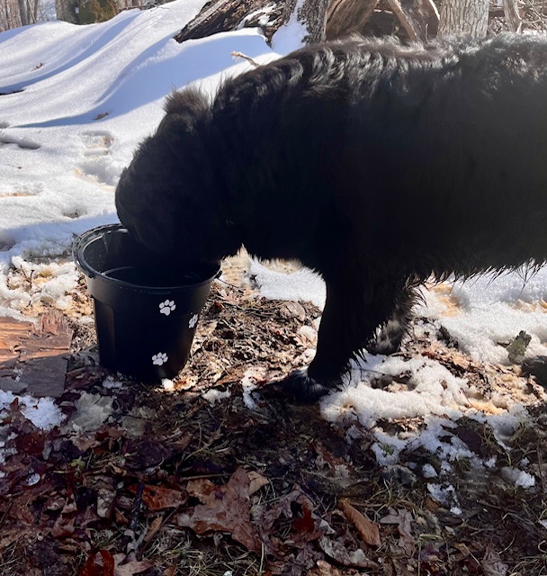 Hideaway Hills Primitive Camp