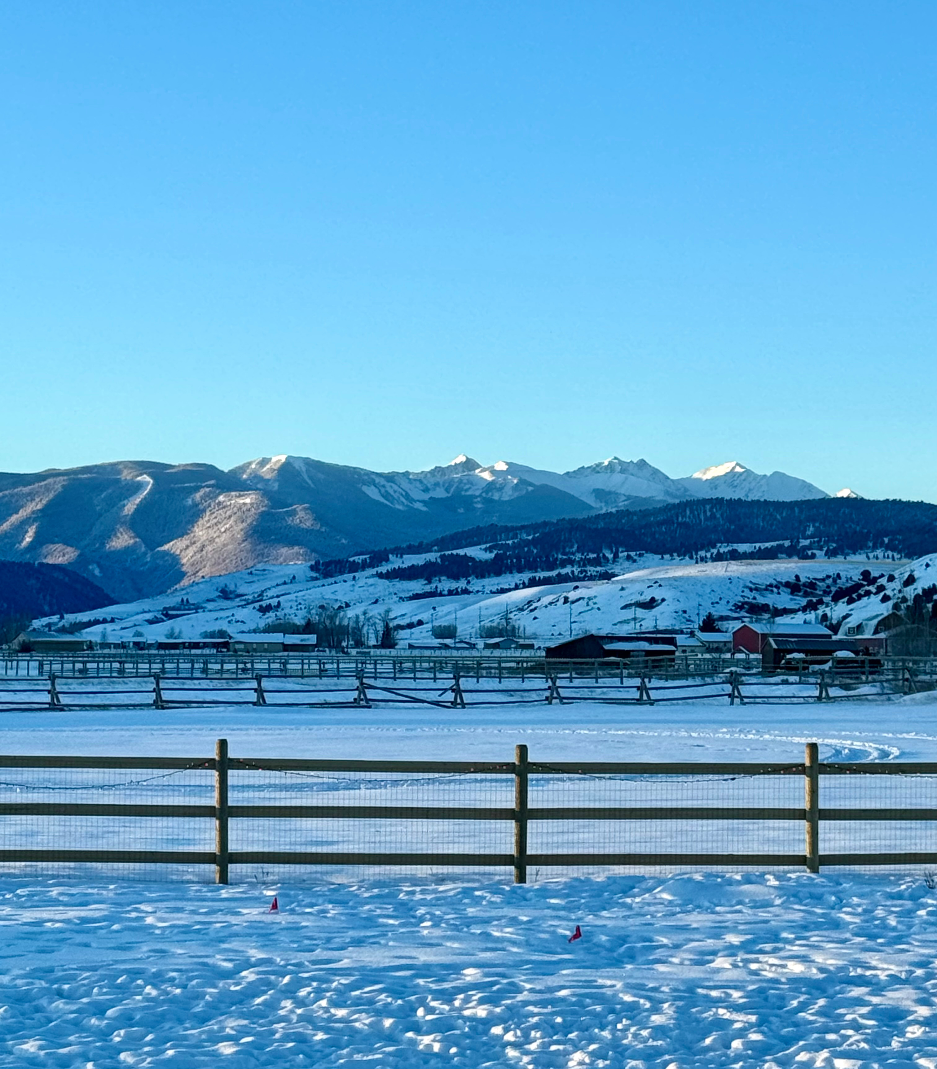 Cloud Nine Equine Ranch