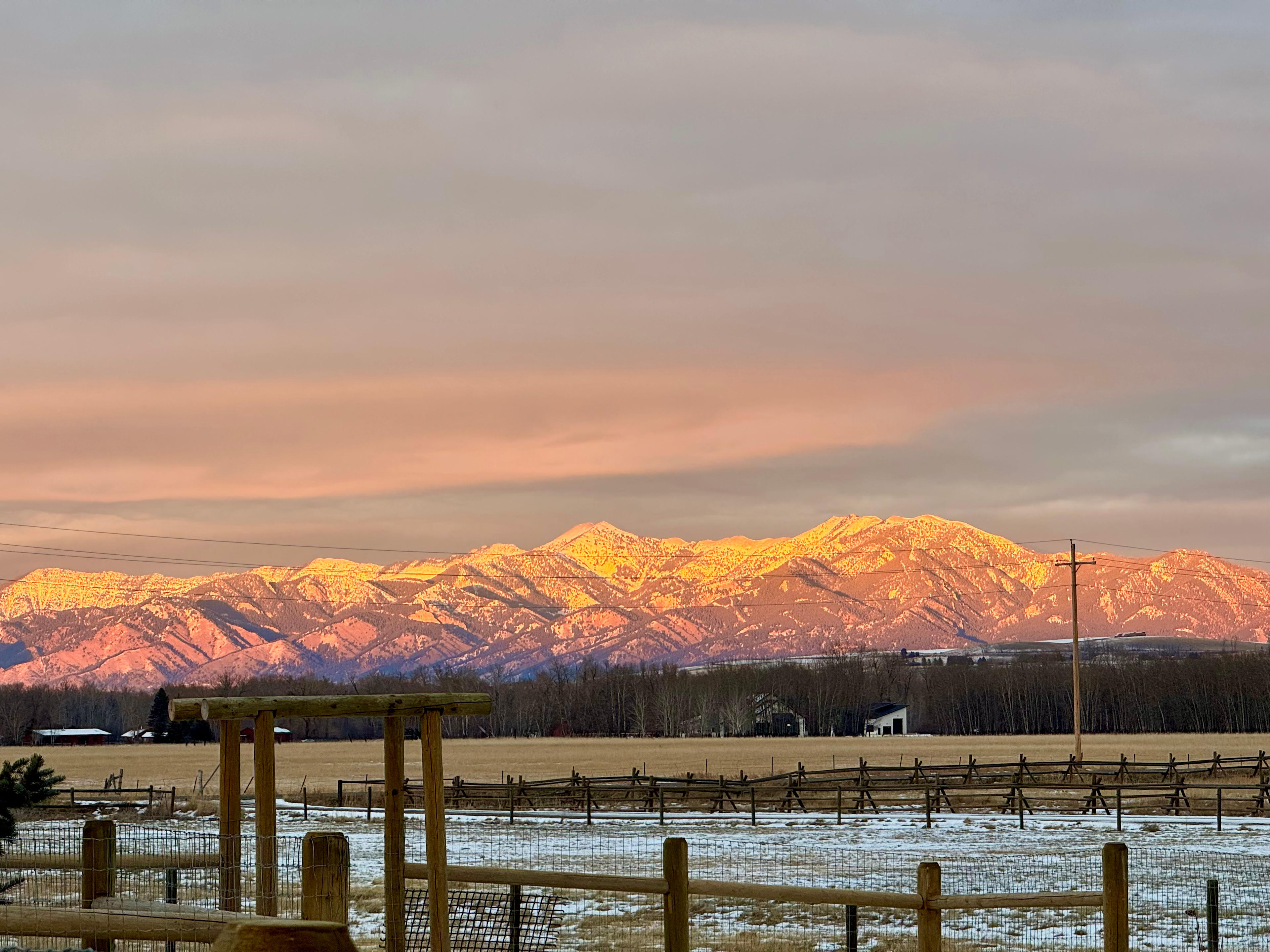 Cloud Nine Equine Ranch