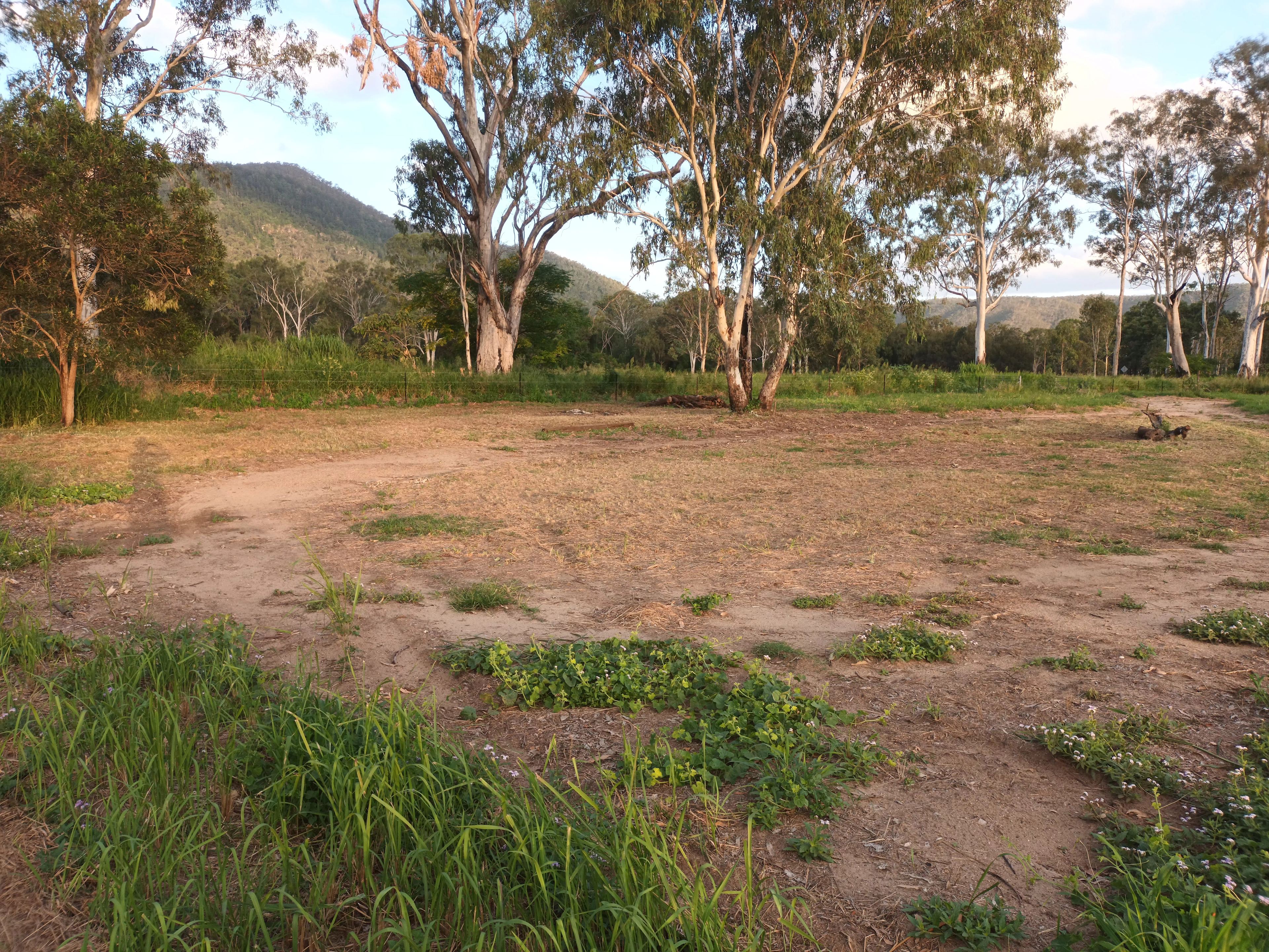 Bella Vista Mount Perry Camping