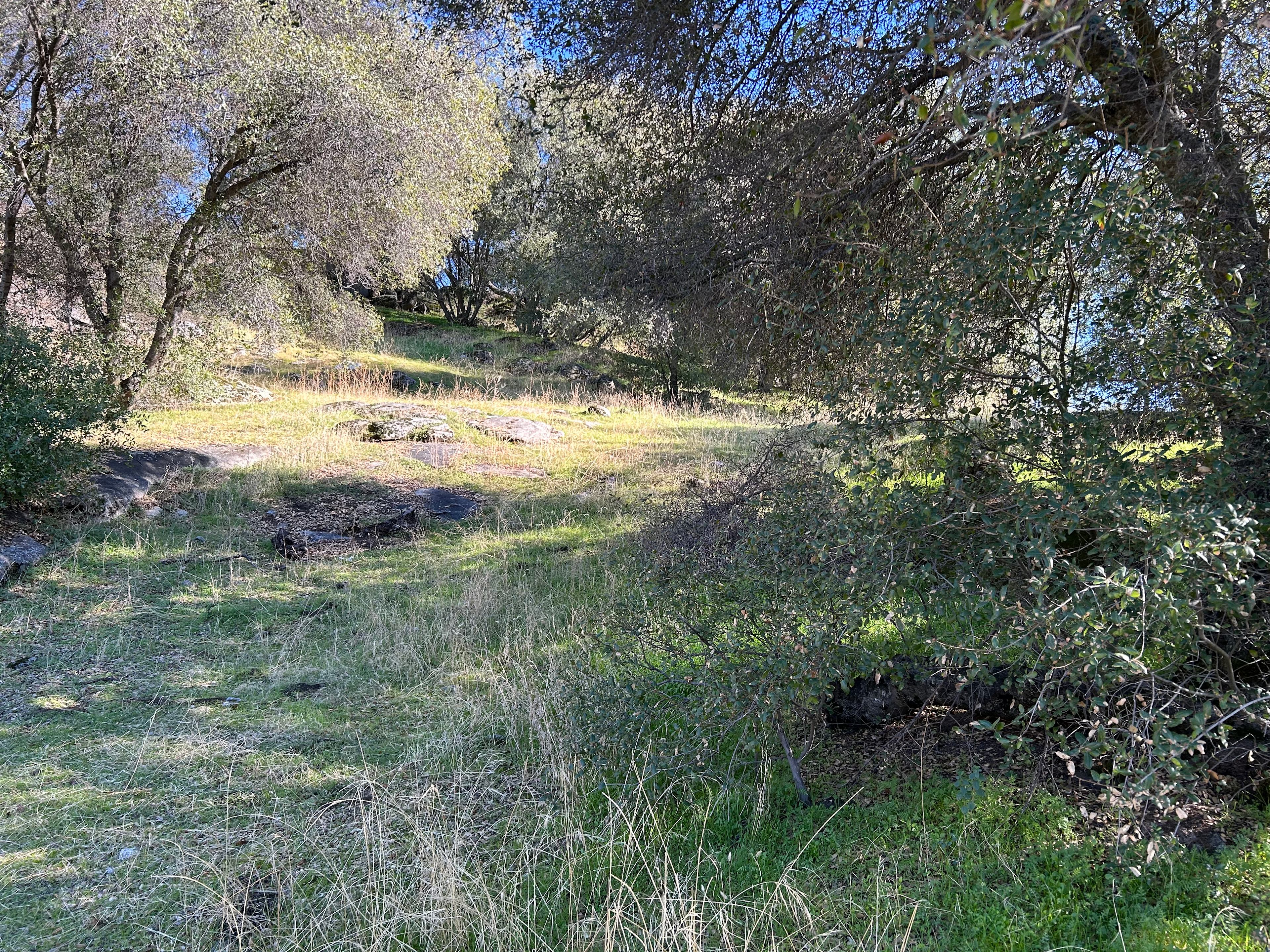 Bonnie Sawyers Place