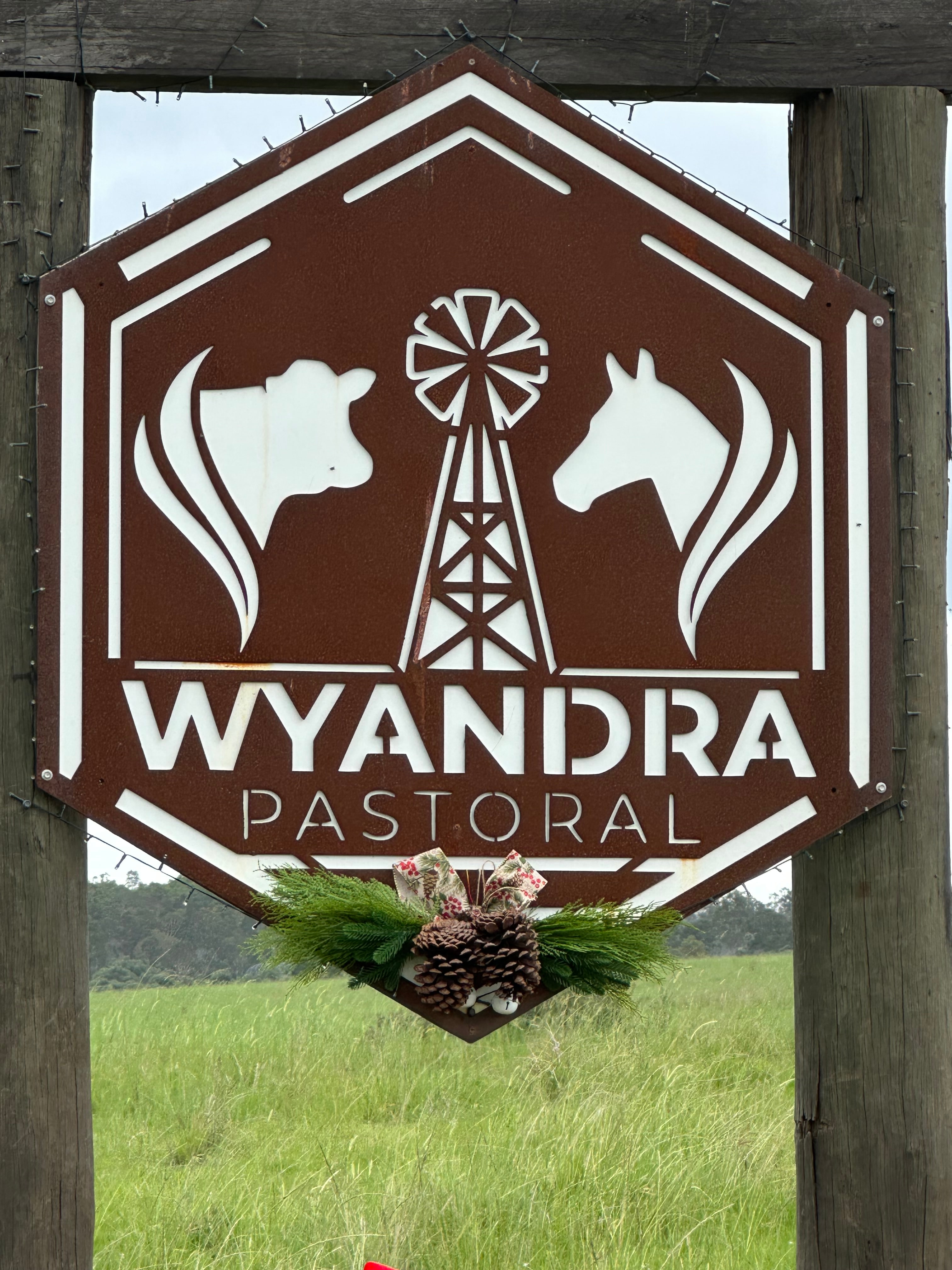 Camping @ Wyandra