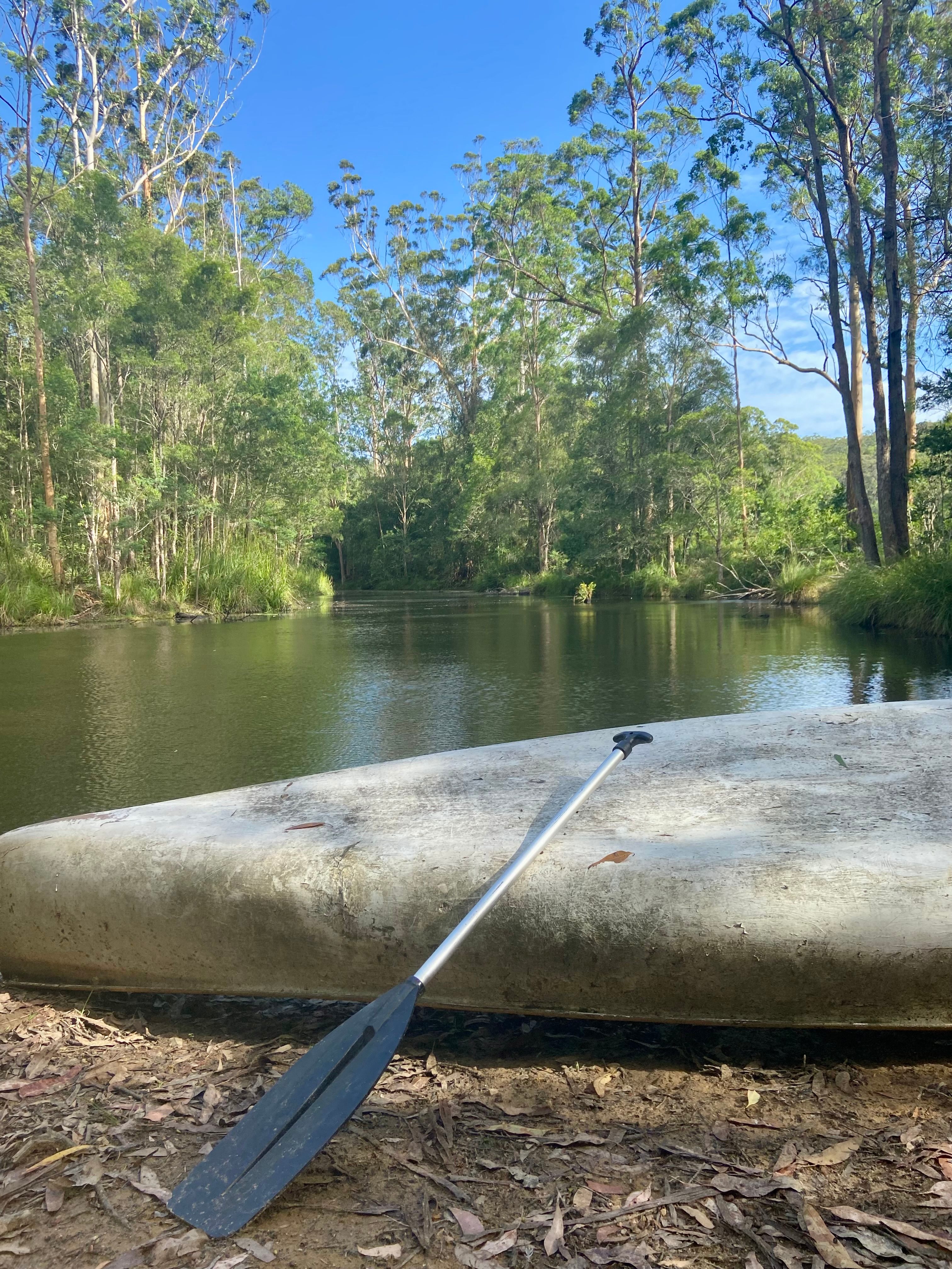 Wombat Flats Campsite: Martinsville