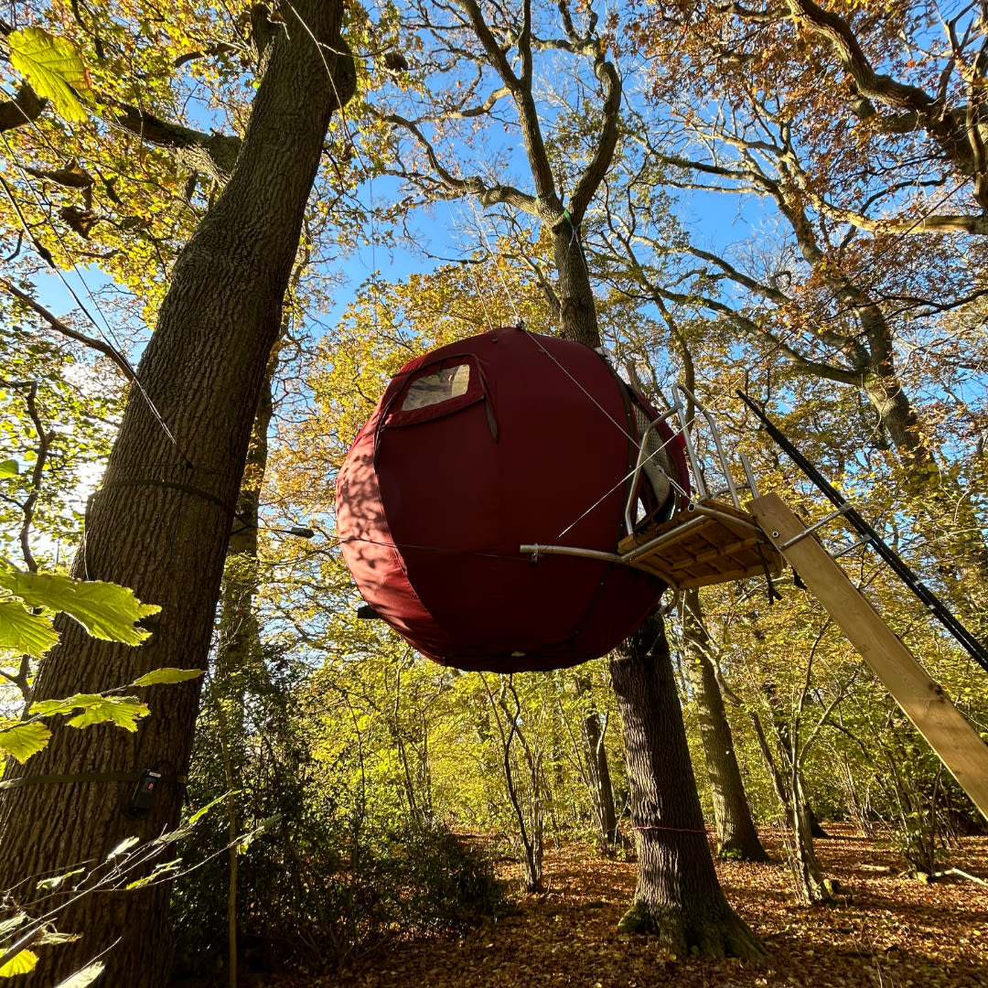 Strawberry Lane Tree Tent campsite