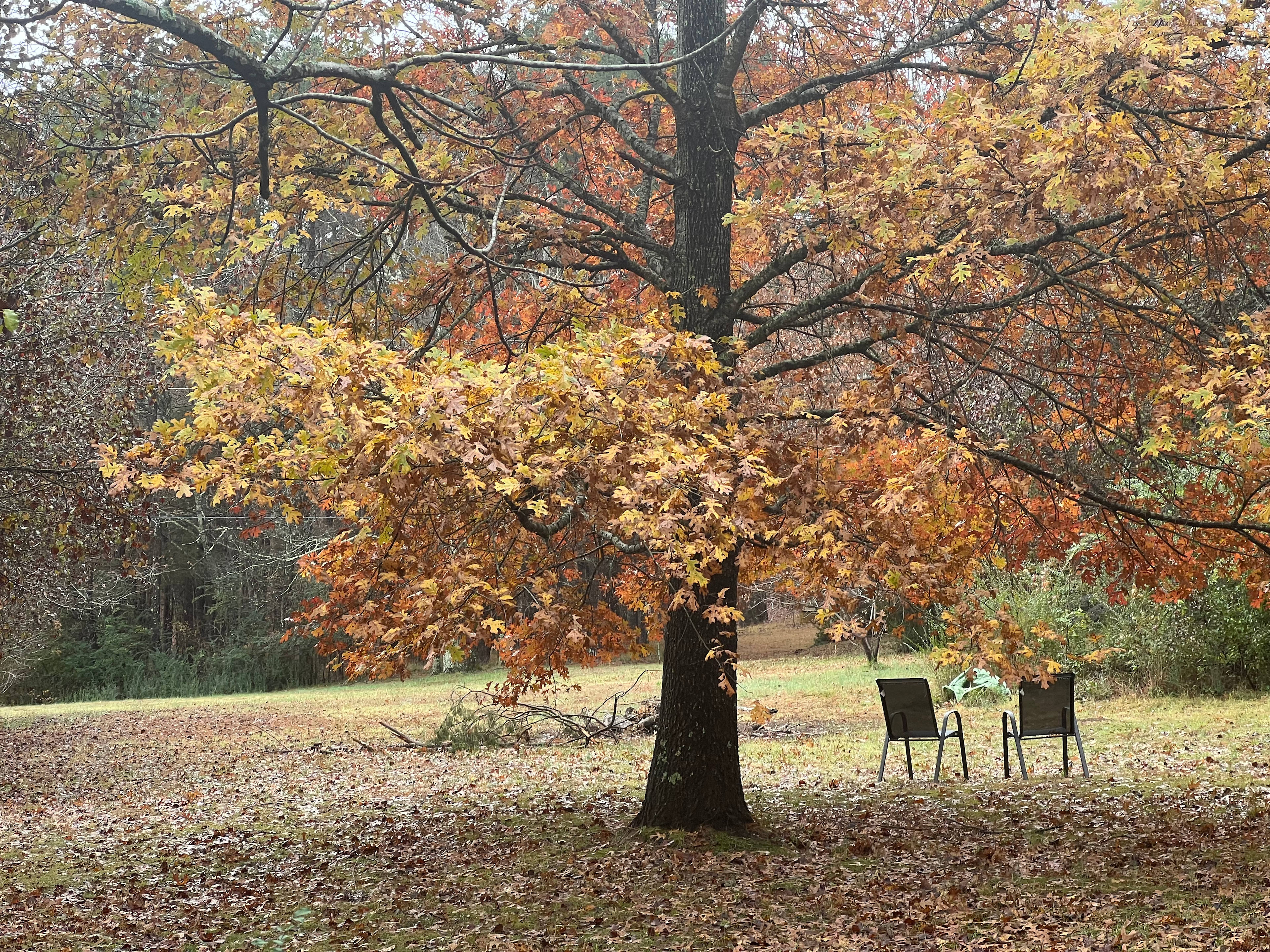 Pickwick Adventure Camping
