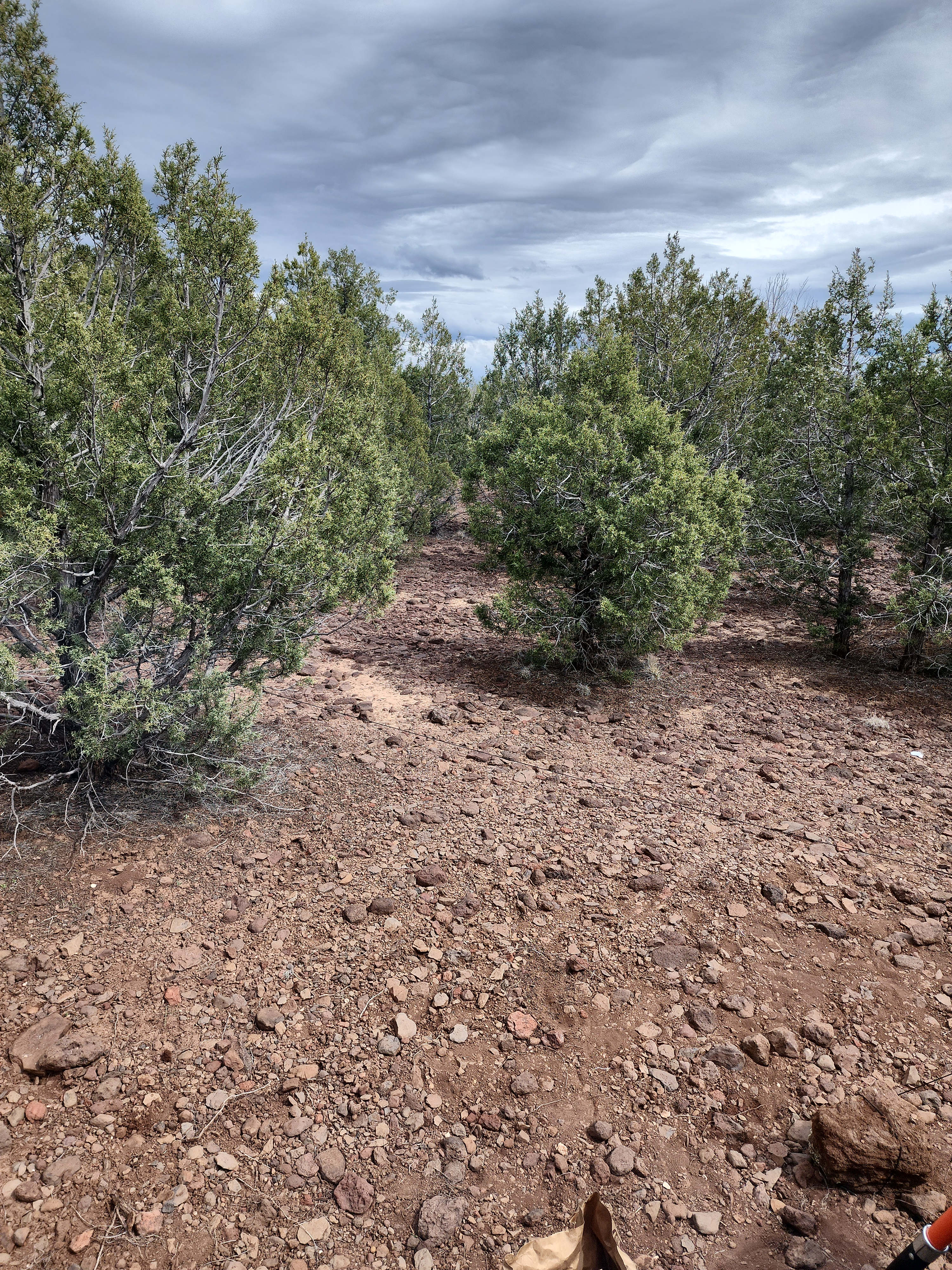 Kaibab Nature’s Hideaway