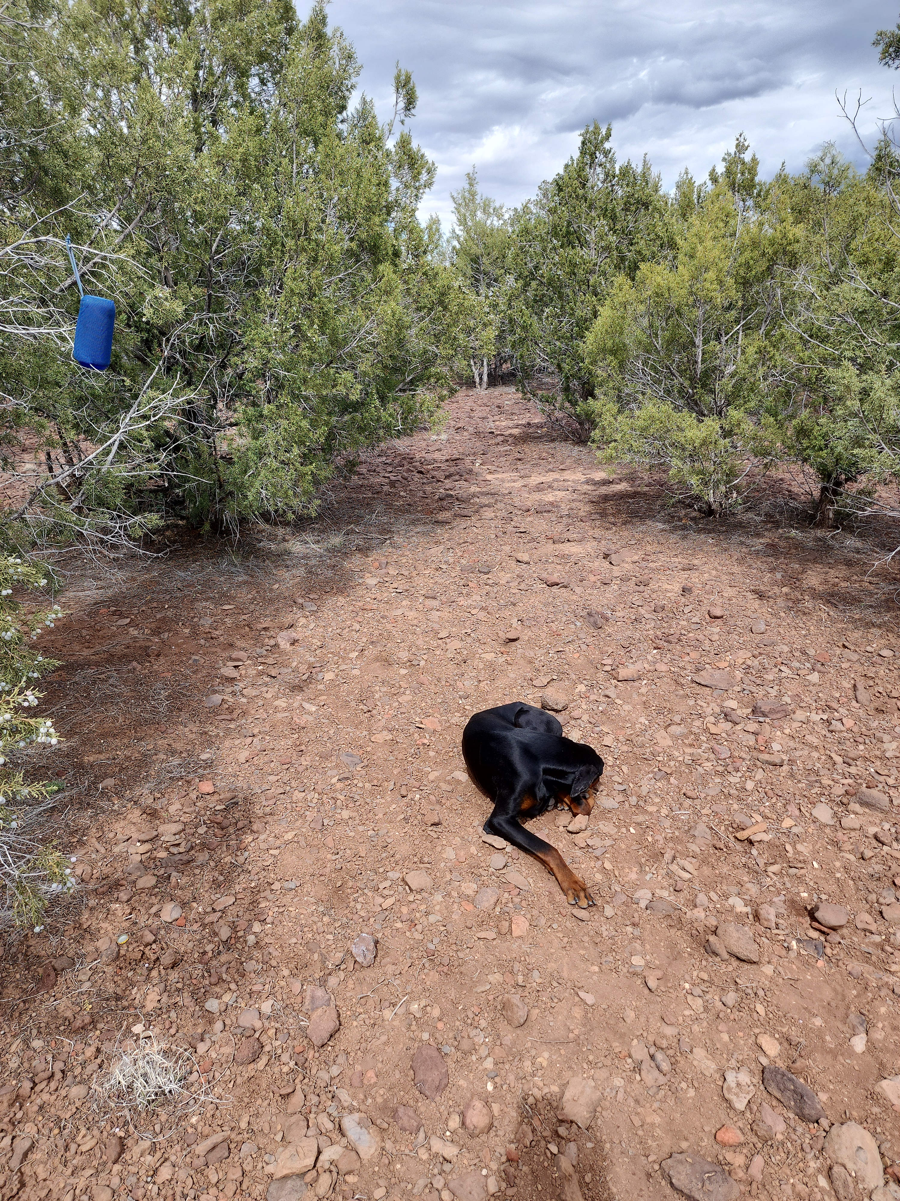Kaibab Nature’s Hideaway