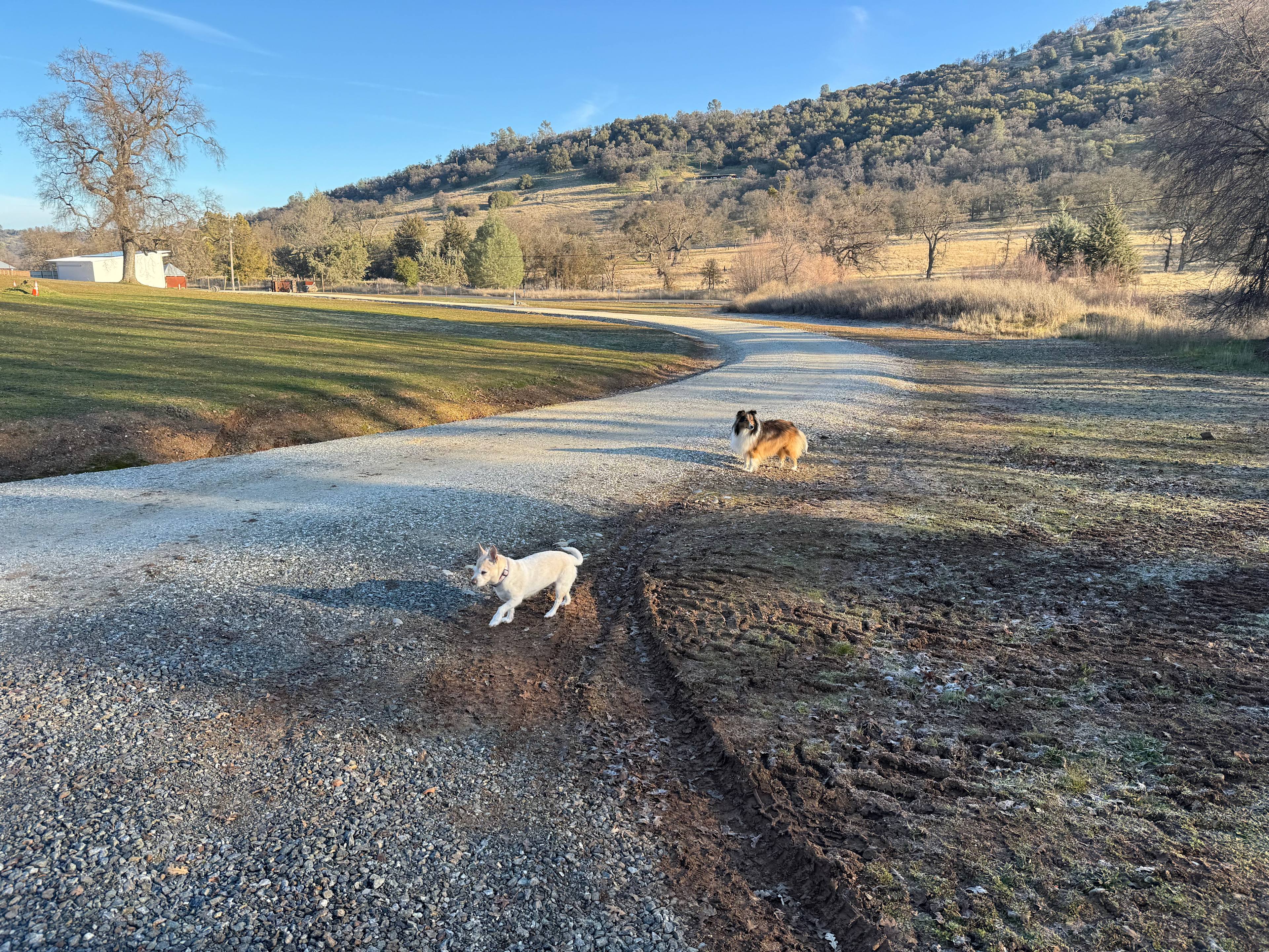 Part of circular driveway around the winery and camping