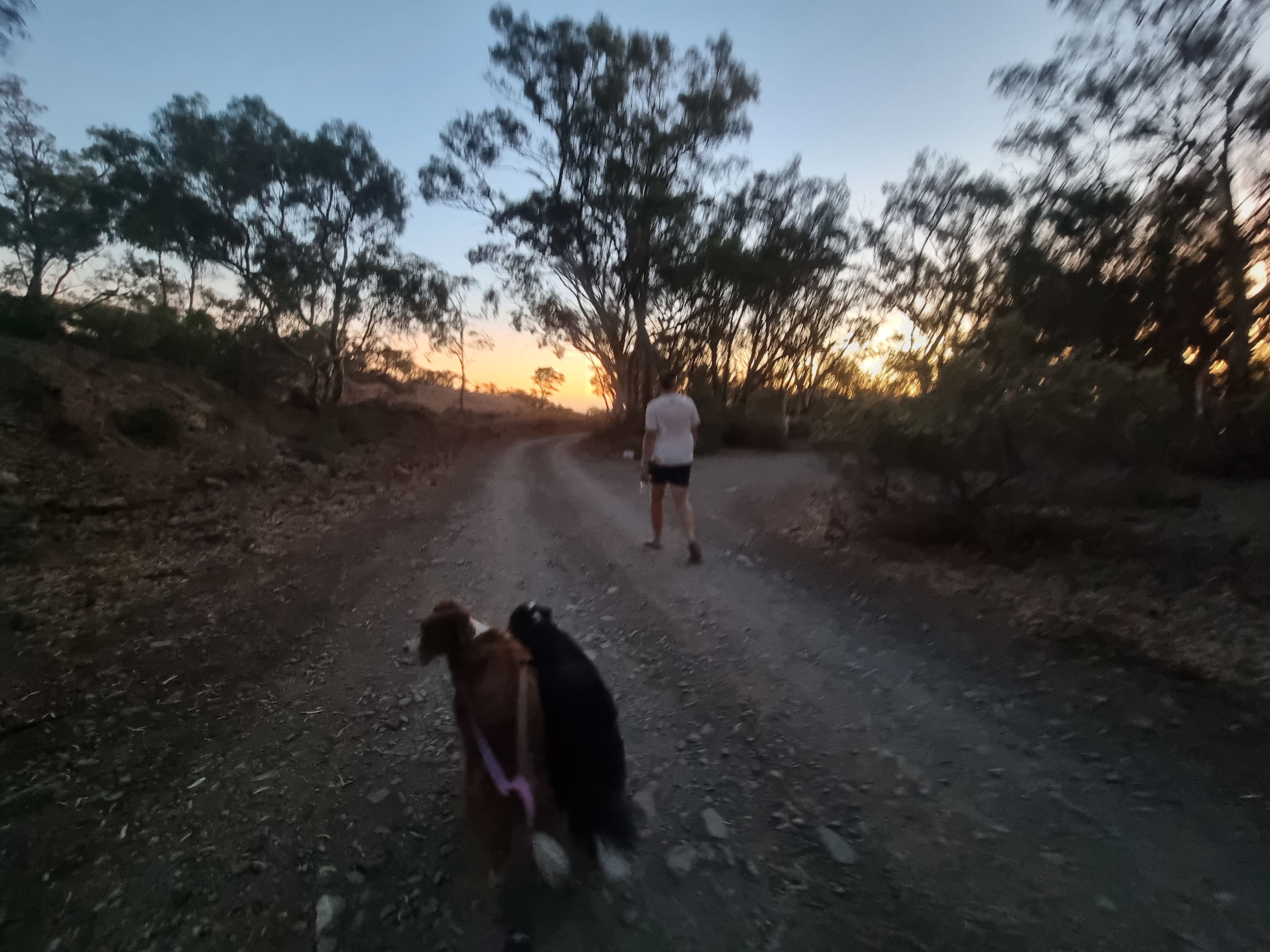 Spear Creek Holiday Park