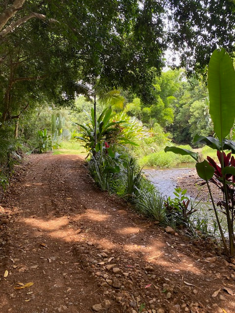 Pocket-Sized Paradise