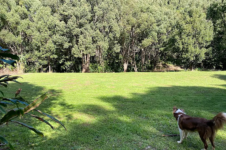 Pocket-Sized Paradise