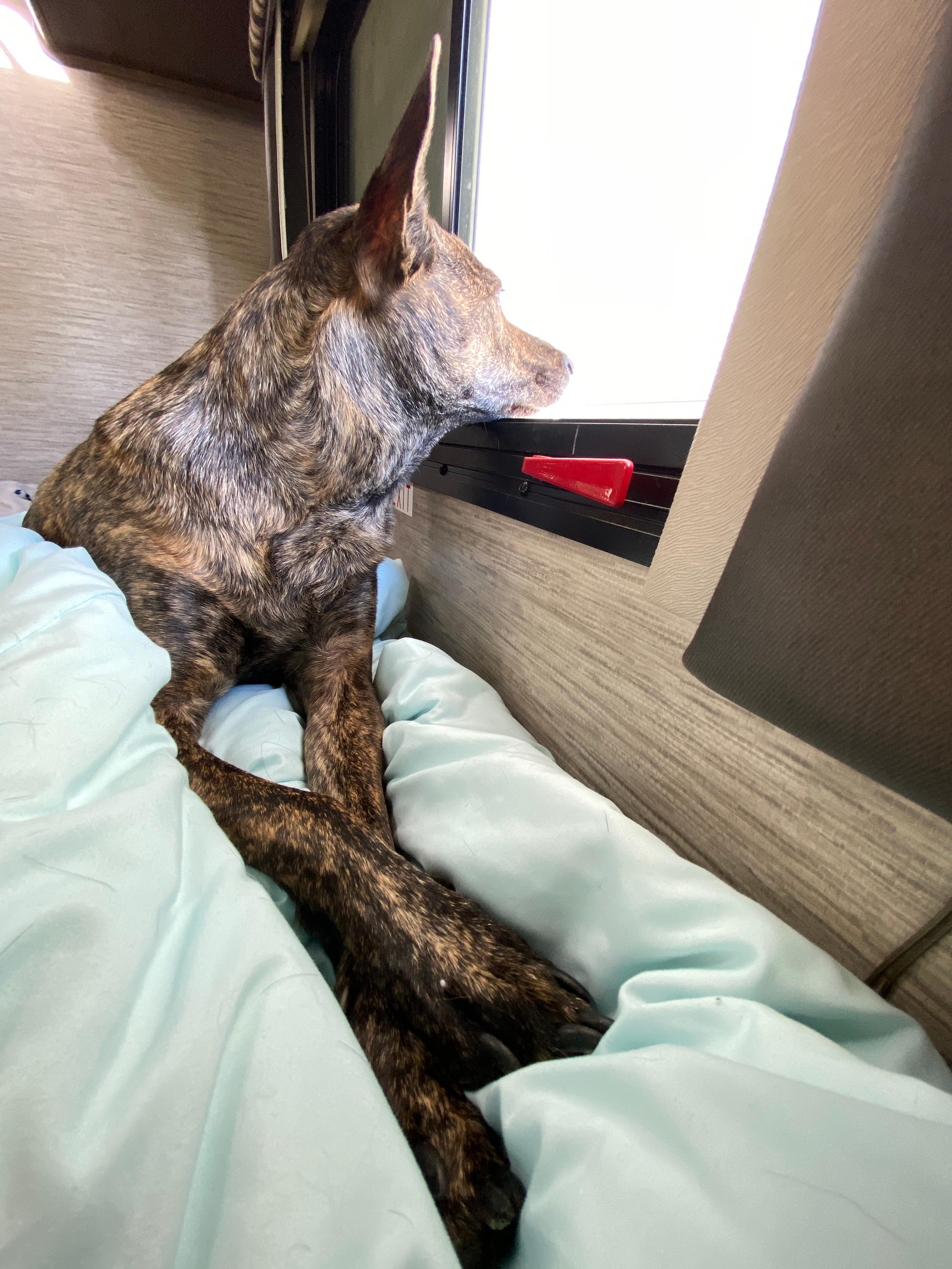 Coachella Lakes RV Resort