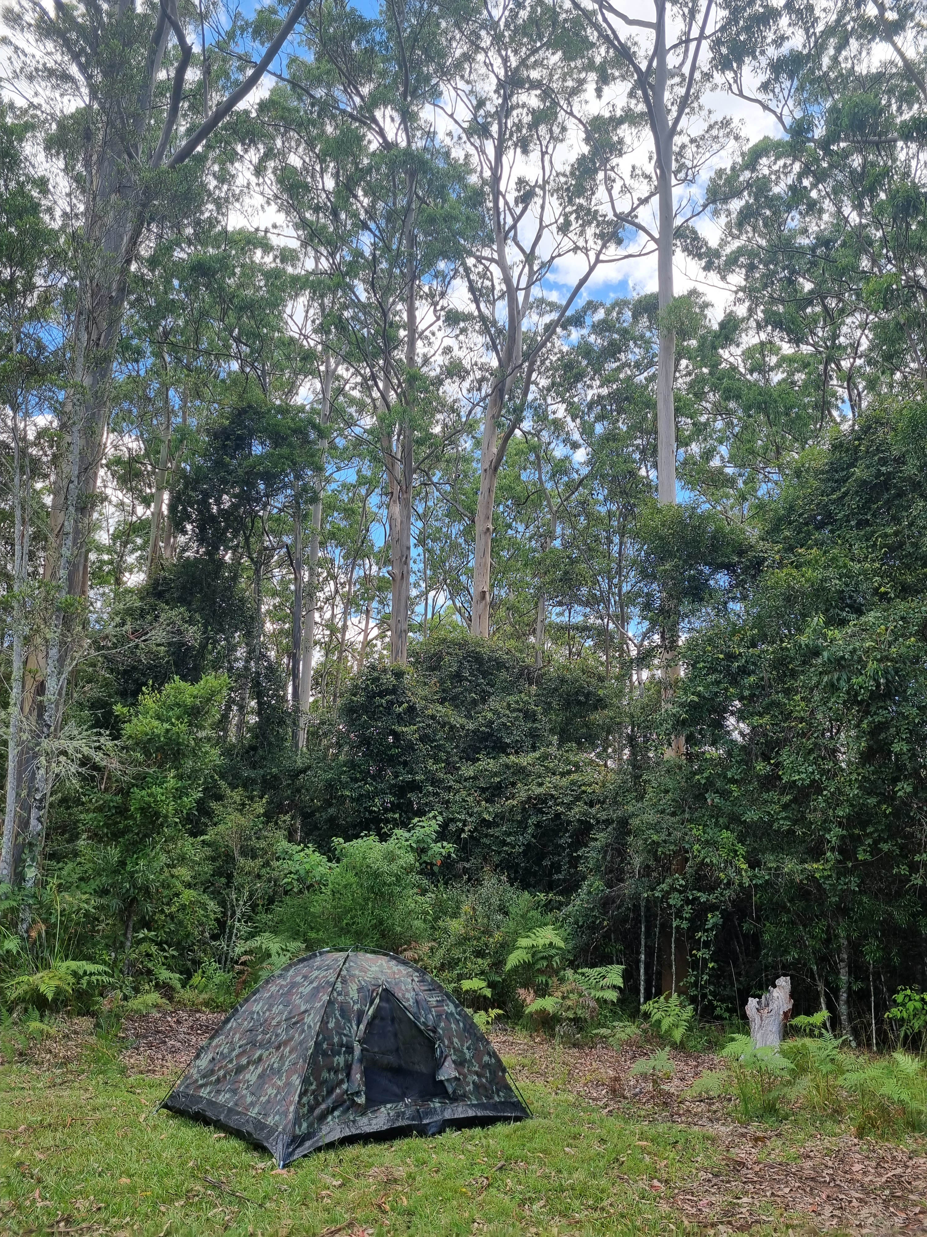 Secluded Mountain Camping