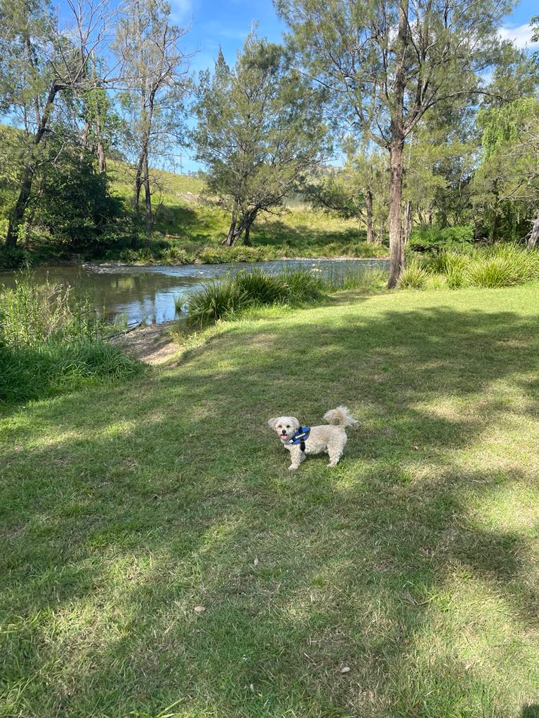 Lostock Dam Caravan Park