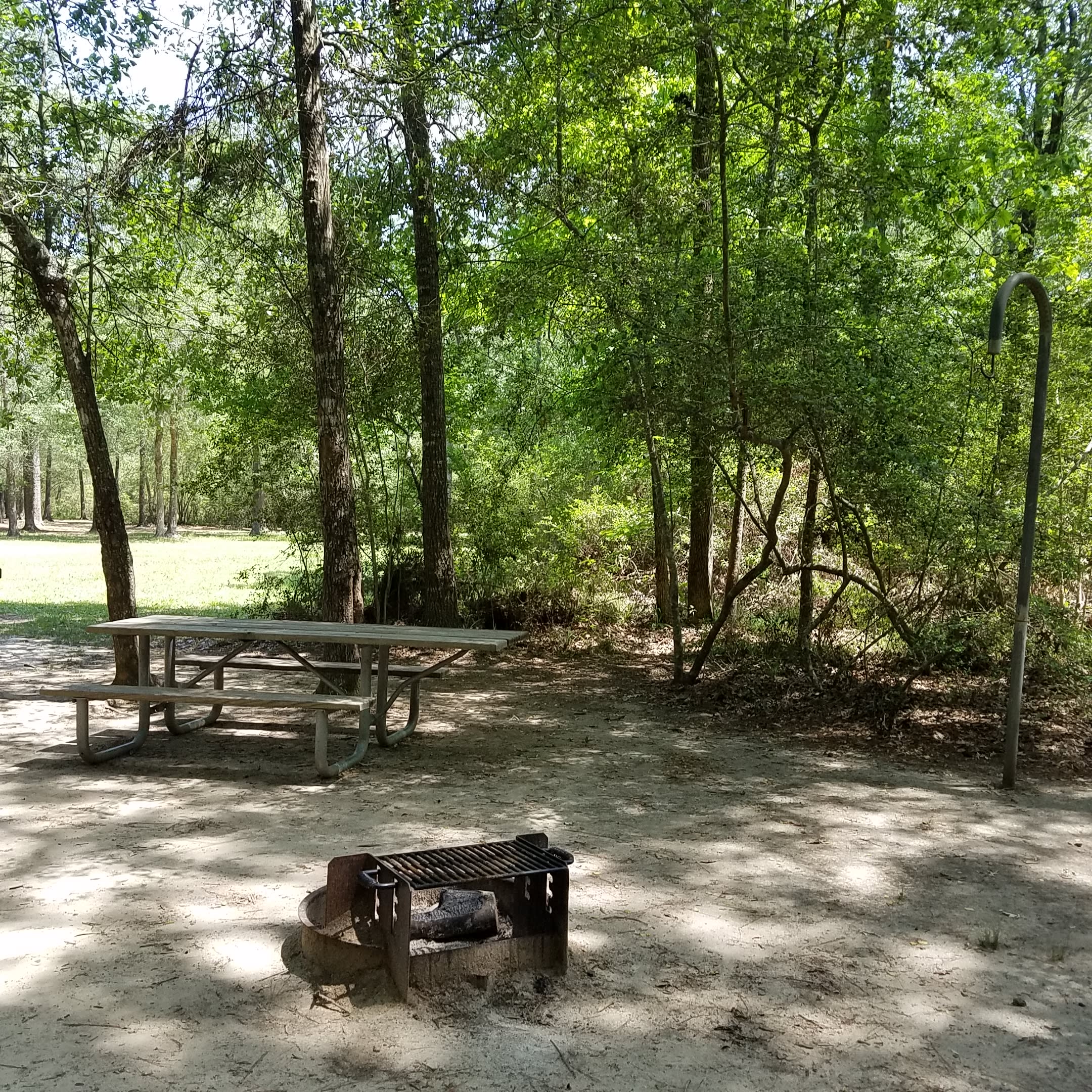 Lake Houston Park Magic By Shell