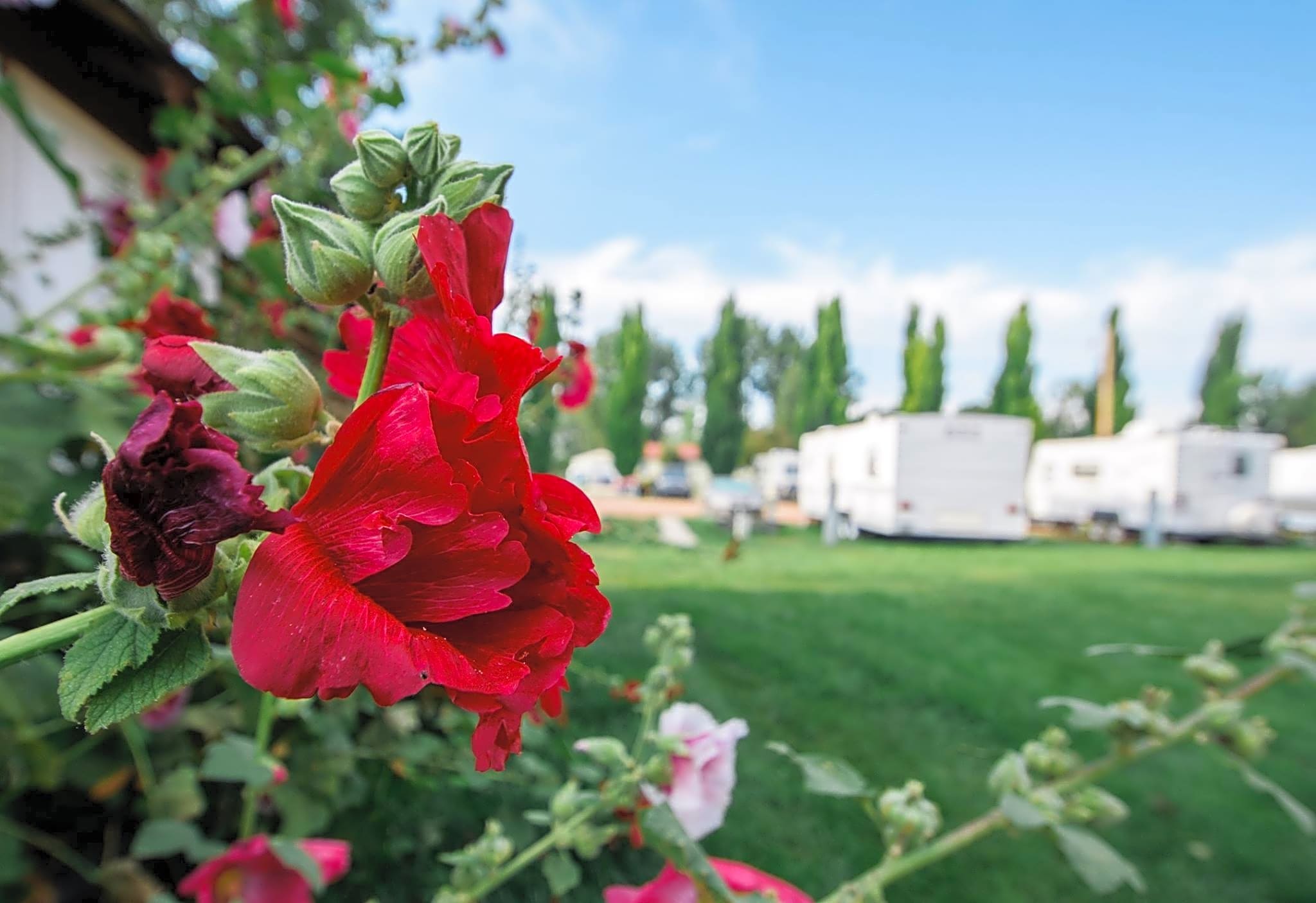 Lazy R Campground and Cabins
