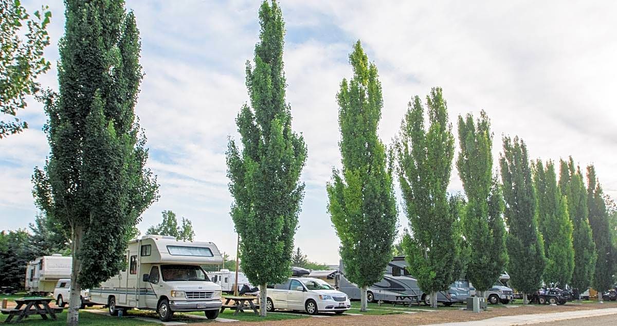 Lazy R Campground and Cabins